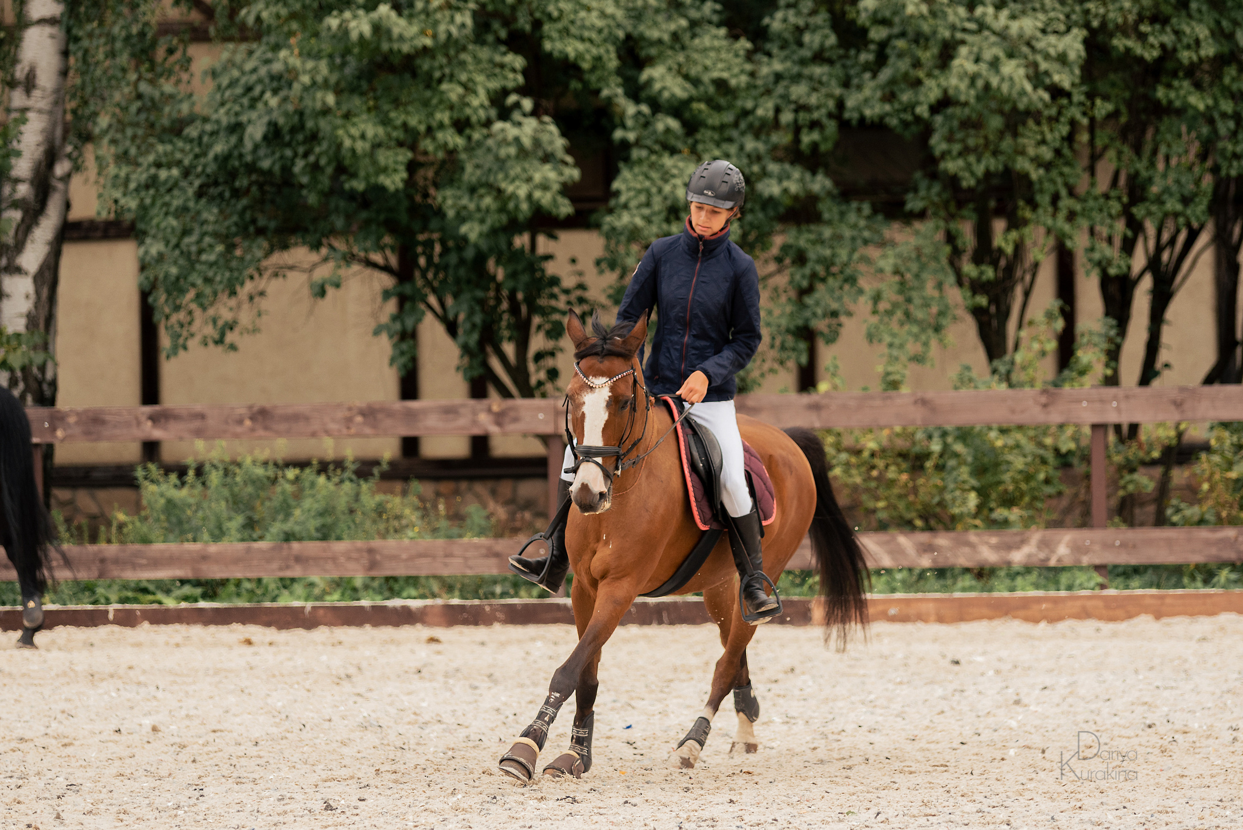 КСК Белая Дача, конкур. Конный фотограф Куракина Дарья • Фотосессии с лошадьми