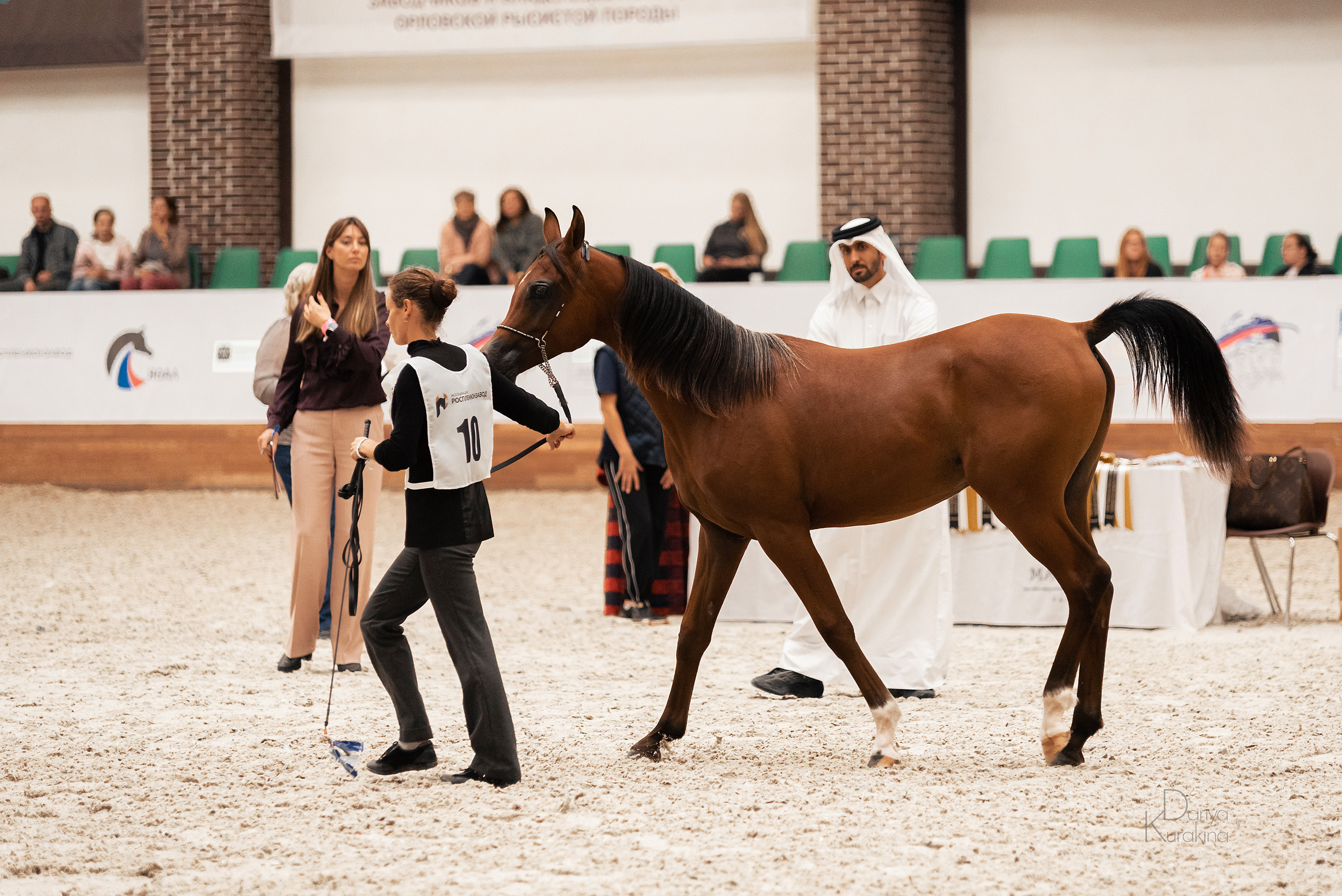 Конная Россия 2021. Конный фотограф Куракина Дарья • Фотосессии с лошадьми