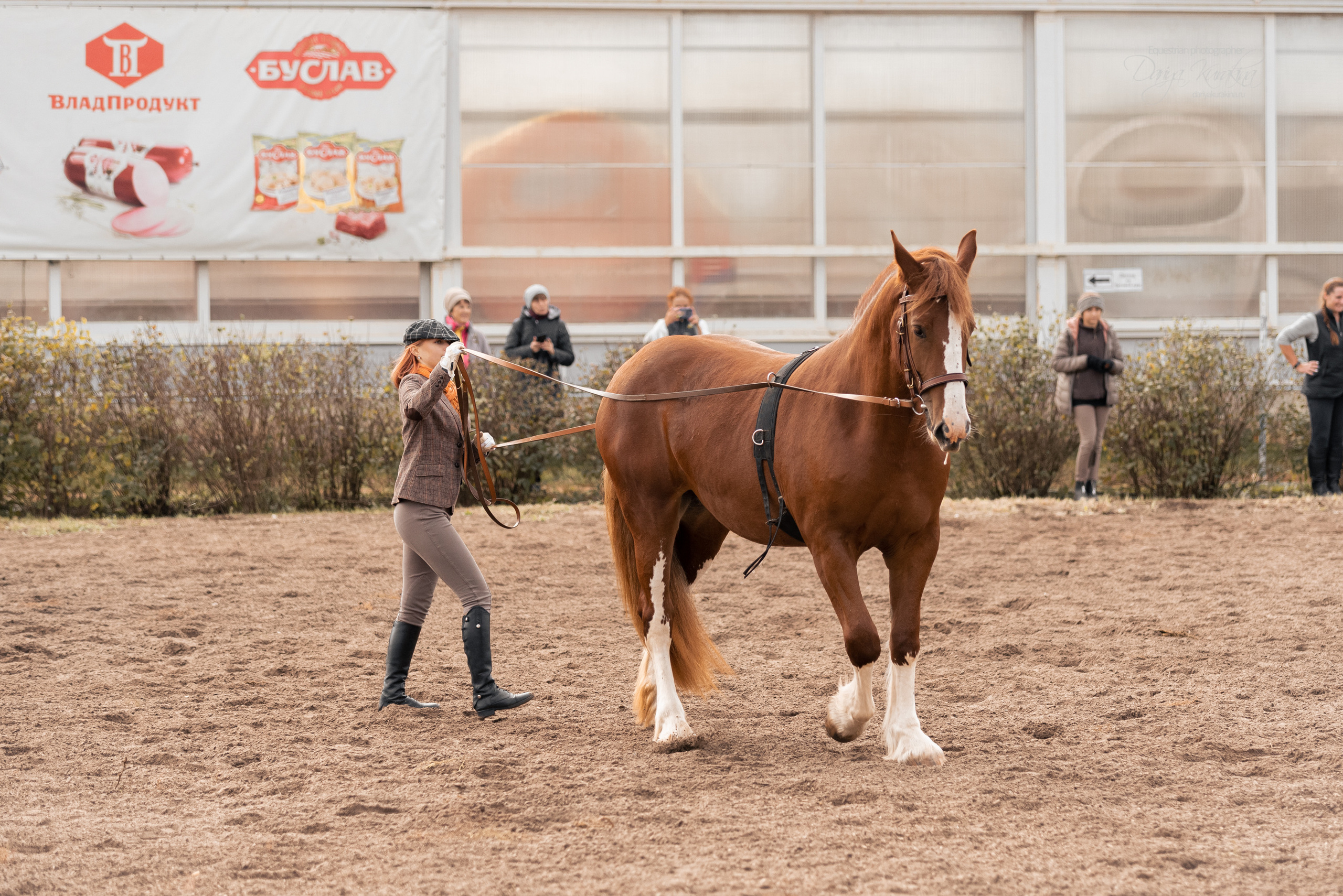 Богдарня. Конный фотограф Куракина Дарья • Фотосессии с лошадьми