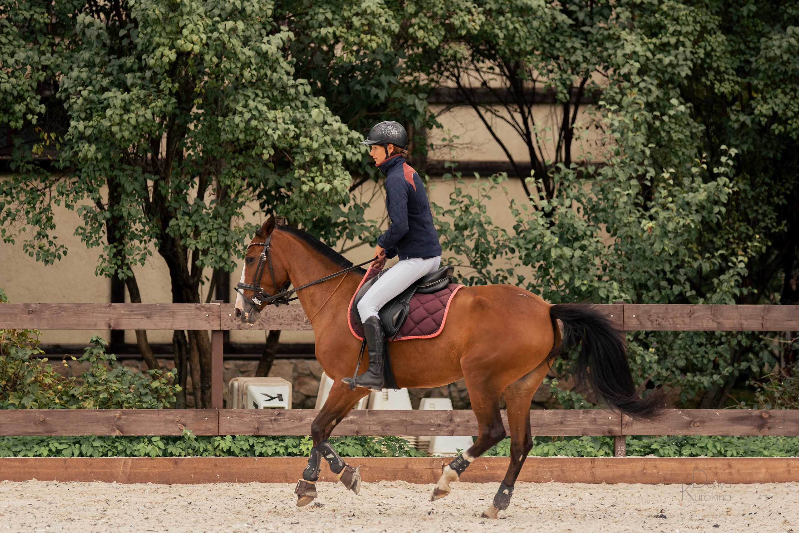 КСК Белая Дача, конкур. Конный фотограф Куракина Дарья • Фотосессии с лошадьми