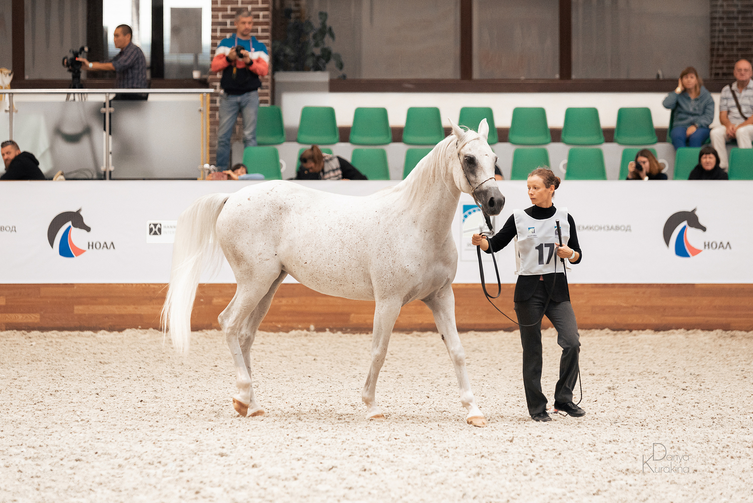 Конная Россия 2021. Конный фотограф Куракина Дарья • Фотосессии с лошадьми