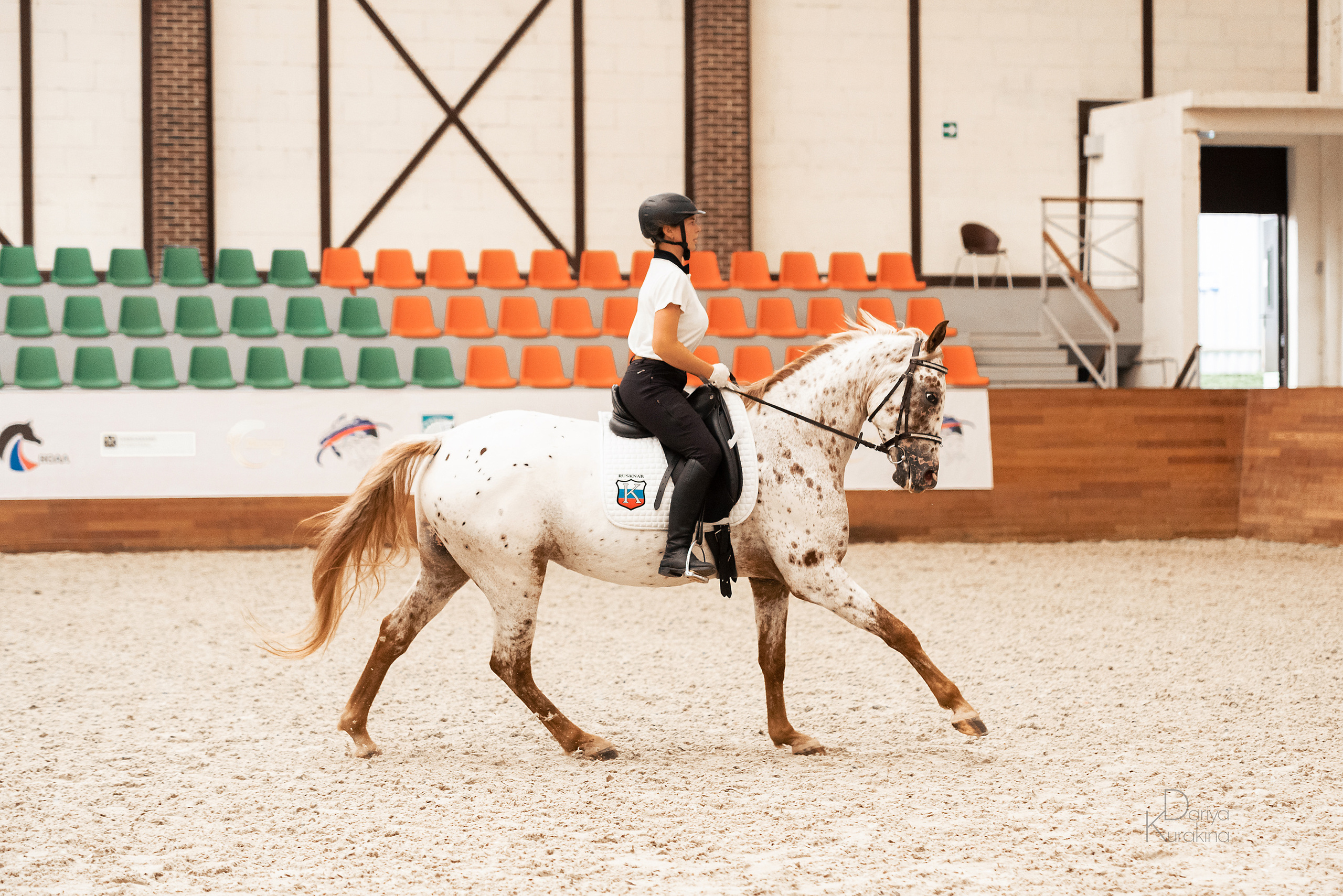 Конная Россия 2021. Конный фотограф Куракина Дарья • Фотосессии с лошадьми