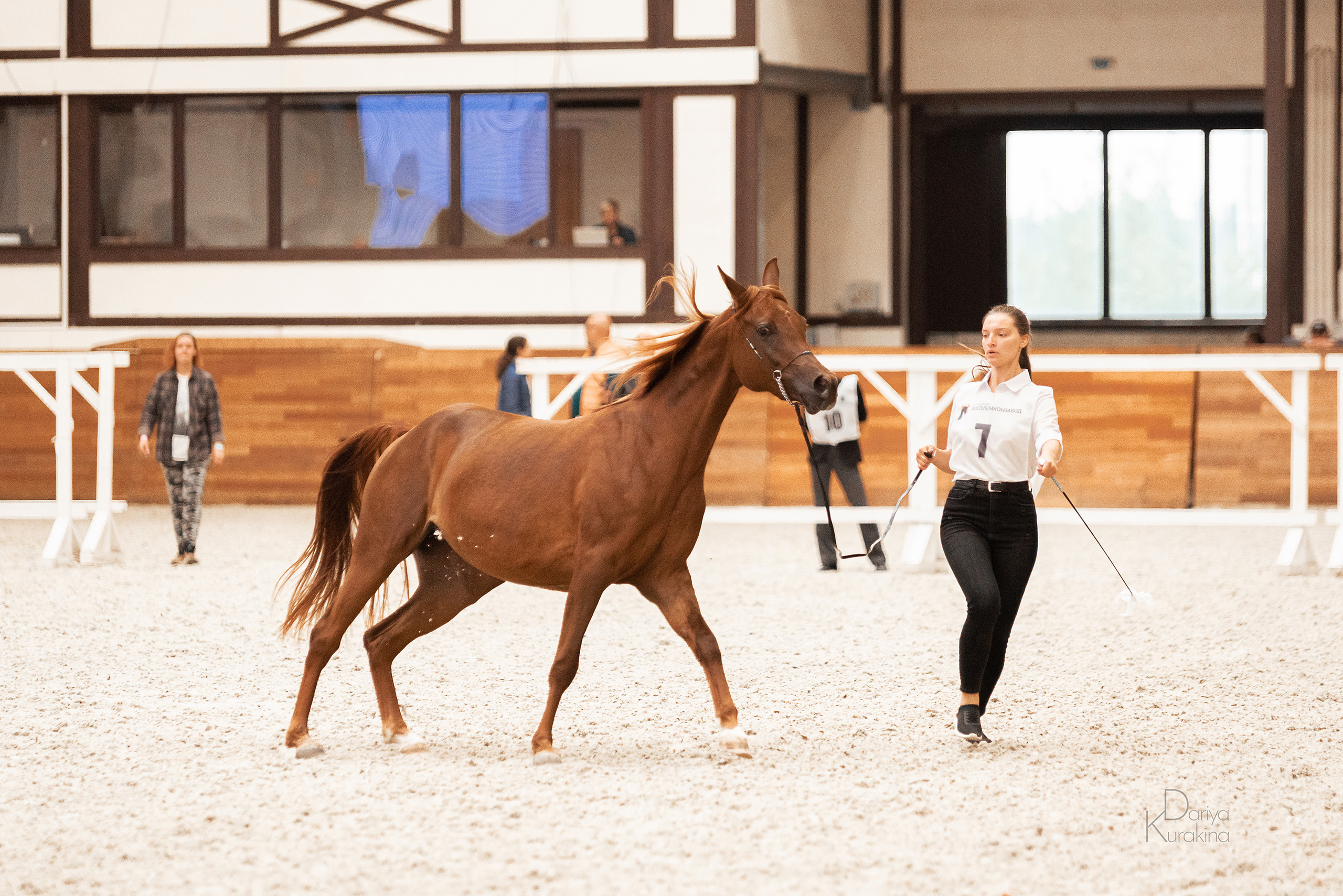 Конная Россия 2021. Конный фотограф Куракина Дарья • Фотосессии с лошадьми