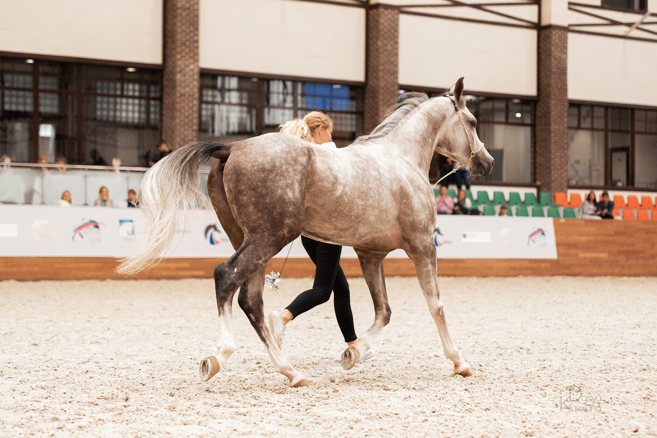 Конная Россия 2021. Конный фотограф Куракина Дарья • Фотосессии с лошадьми