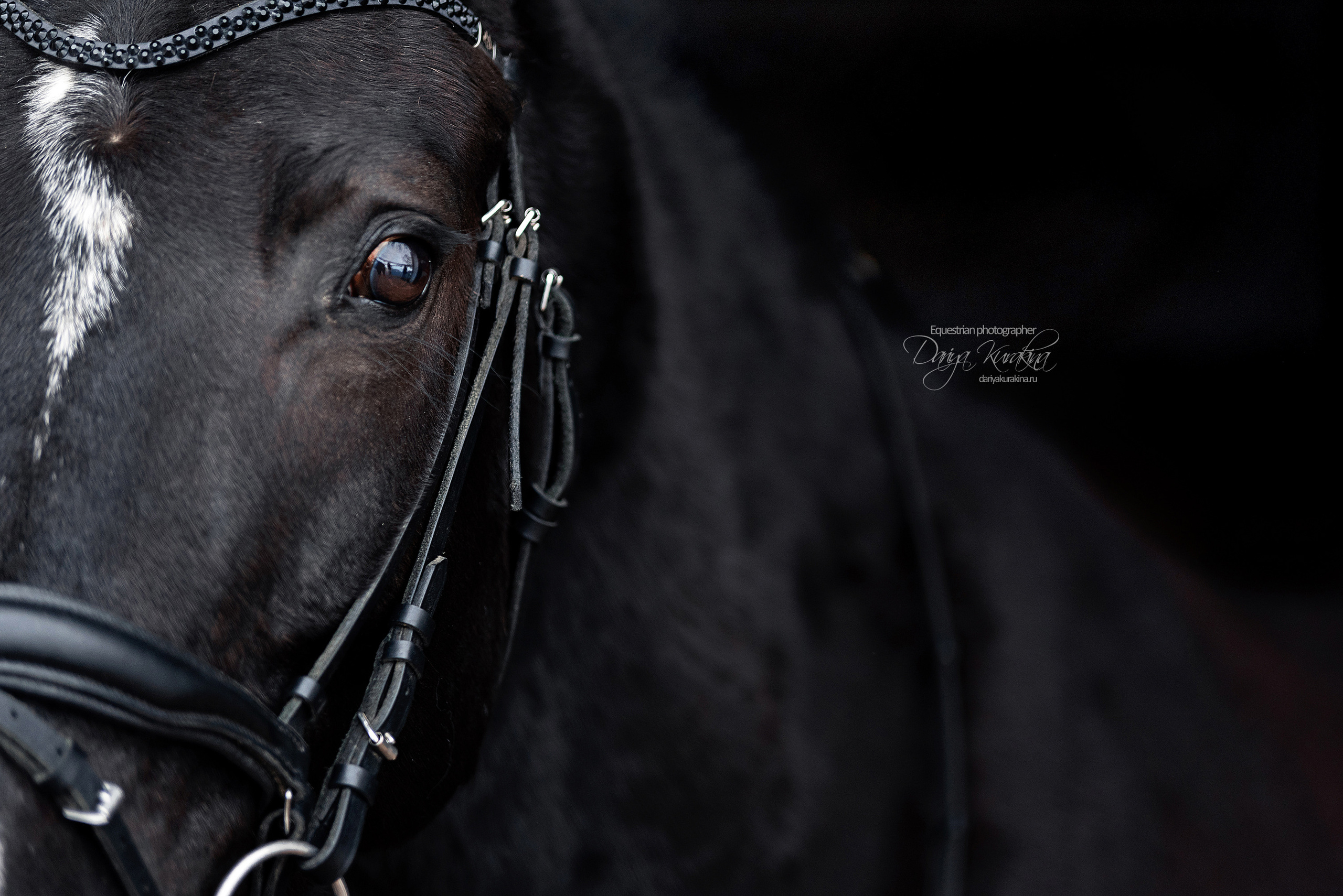 Аня, Полина и Джей Z. Конный фотограф Куракина Дарья • Фотосессии с лошадьми