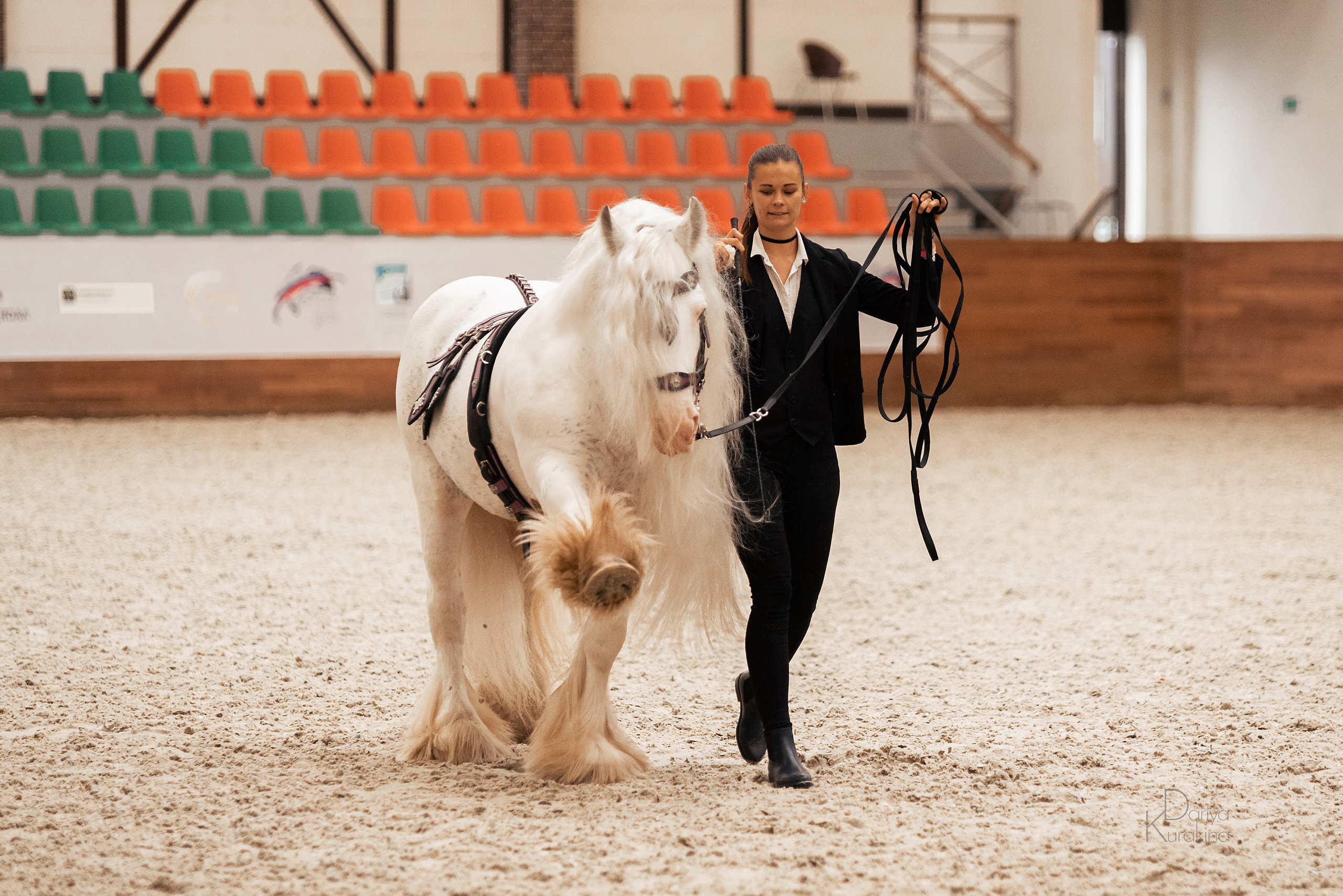 Конная Россия 2021. Конный фотограф Куракина Дарья • Фотосессии с лошадьми