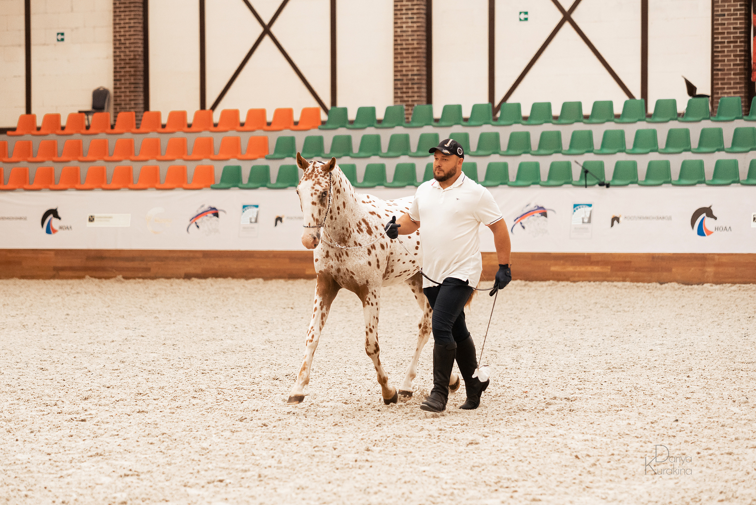 Конная Россия 2021. Конный фотограф Куракина Дарья • Фотосессии с лошадьми