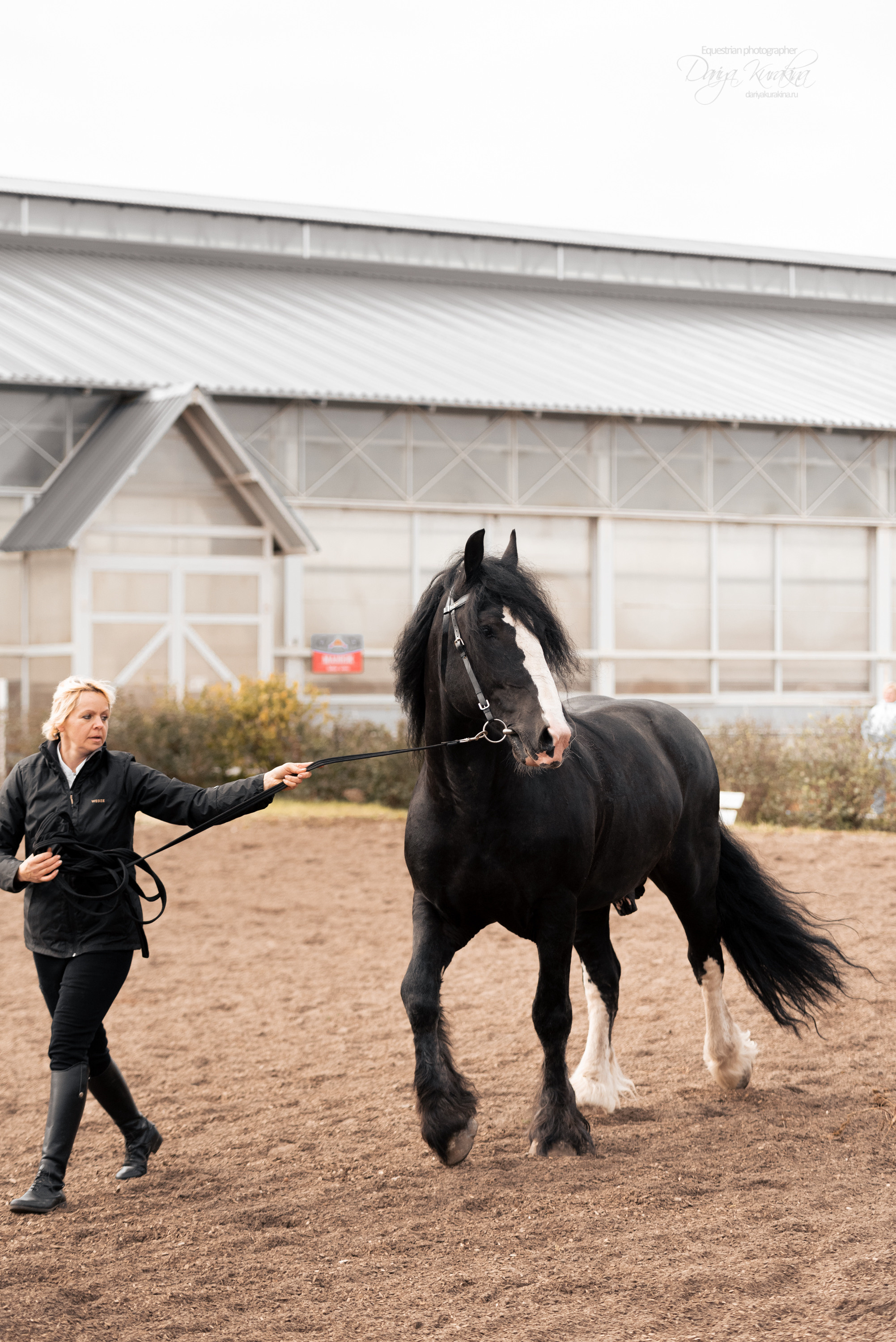 Богдарня. Конный фотограф Куракина Дарья • Фотосессии с лошадьми