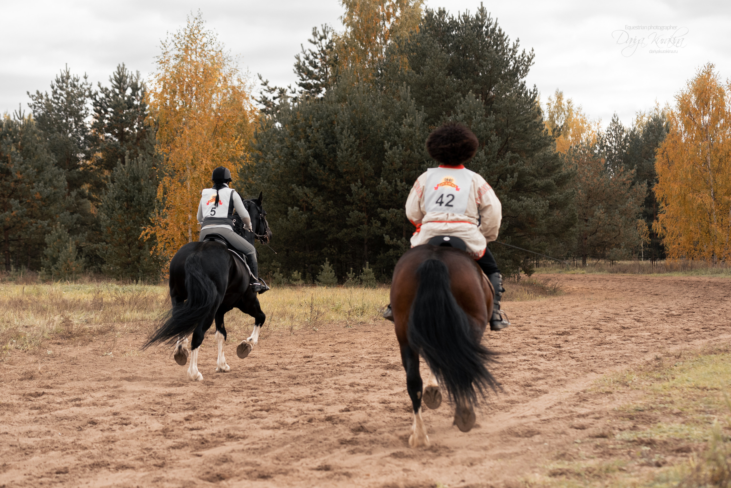 Богдарня. Конный фотограф Куракина Дарья • Фотосессии с лошадьми
