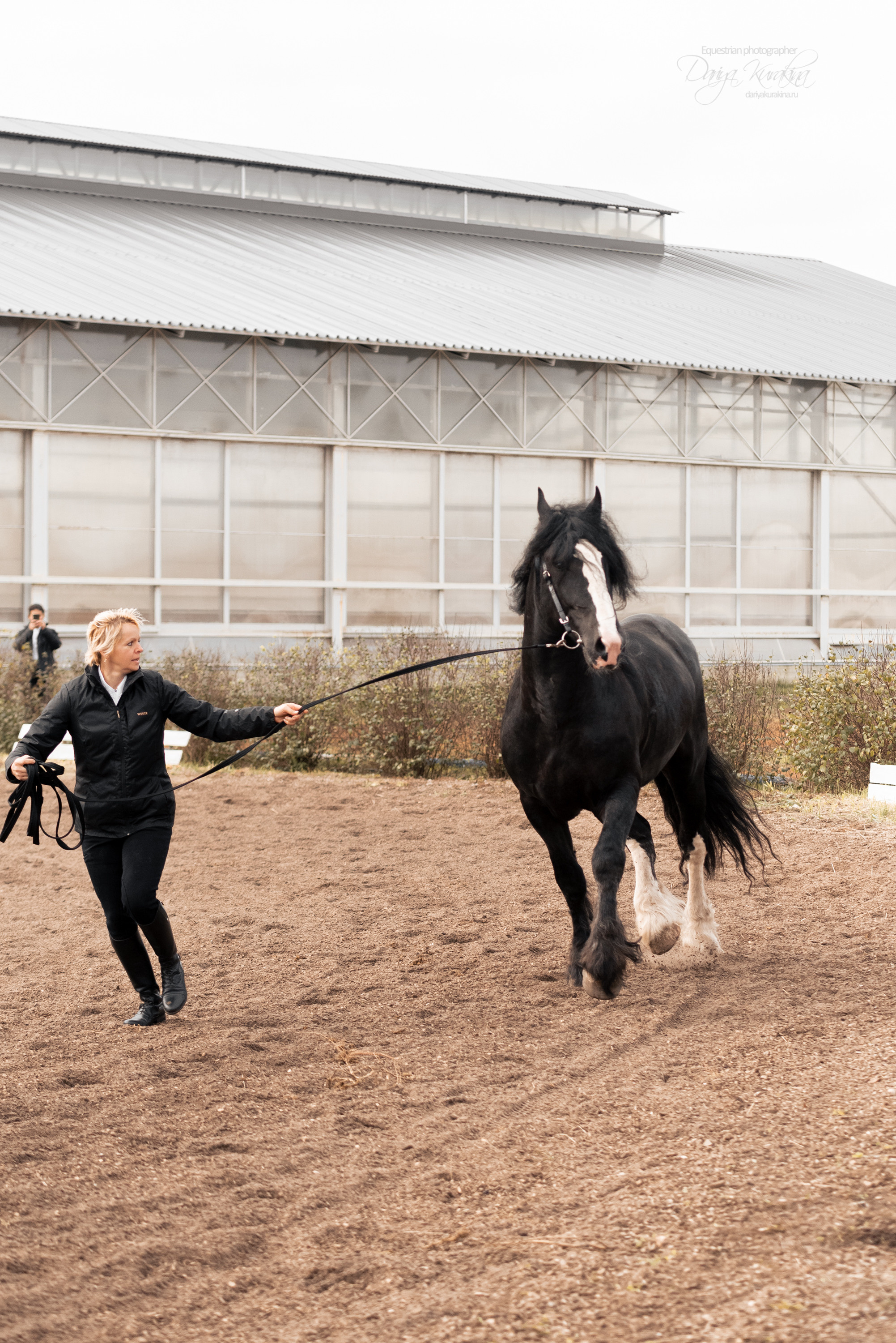 Богдарня. Конный фотограф Куракина Дарья • Фотосессии с лошадьми