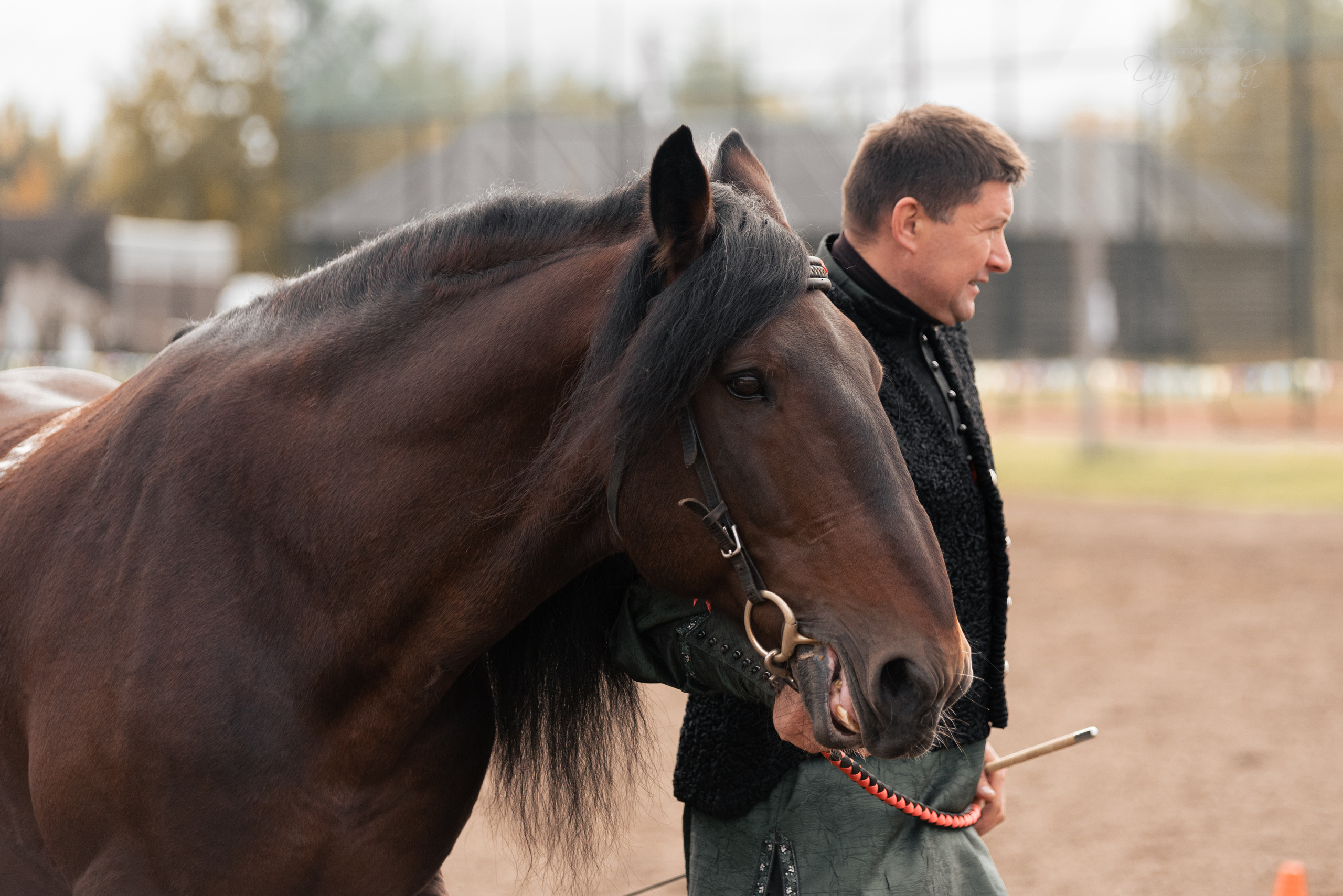 Богдарня. Конный фотограф Куракина Дарья • Фотосессии с лошадьми