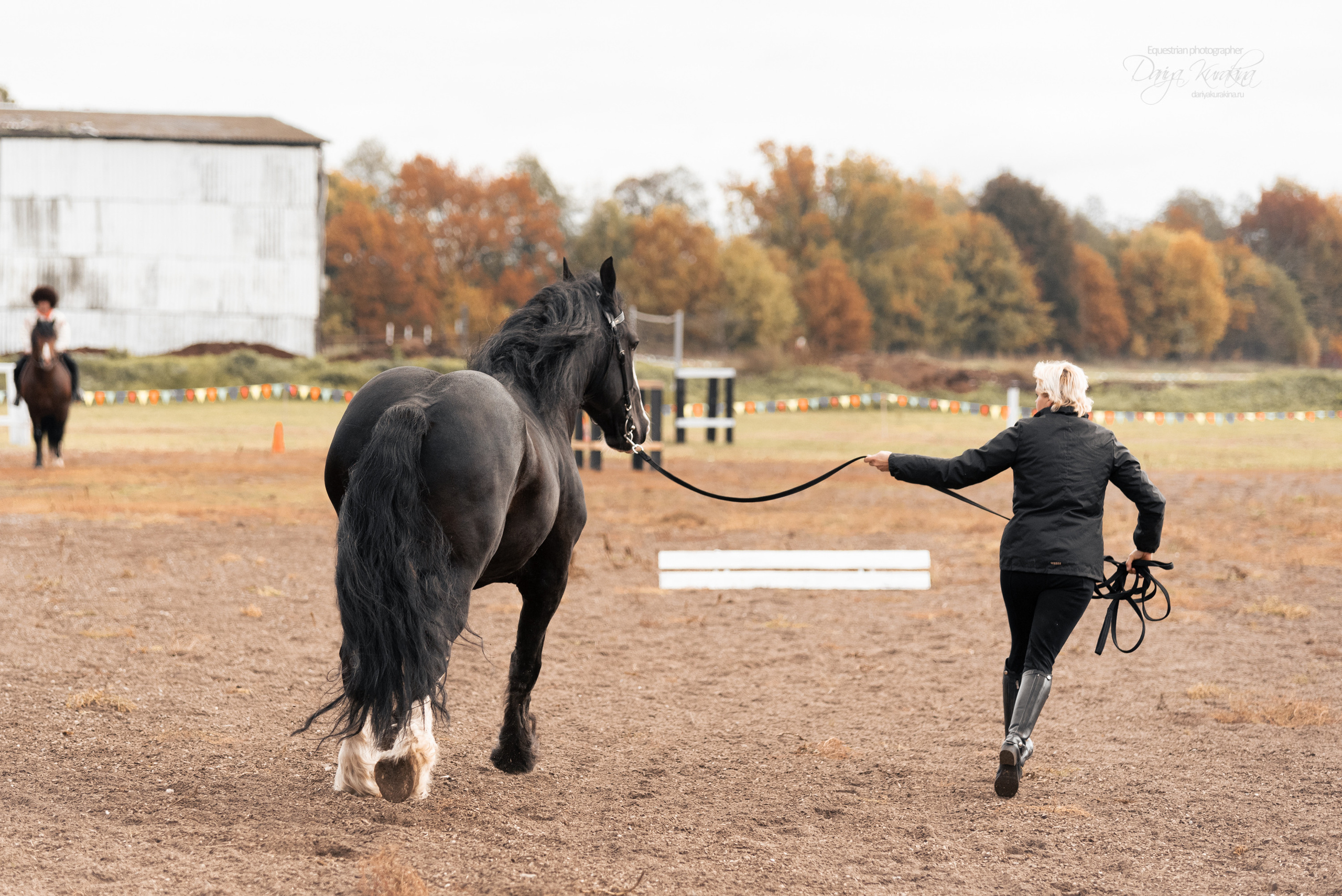 Богдарня. Конный фотограф Куракина Дарья • Фотосессии с лошадьми
