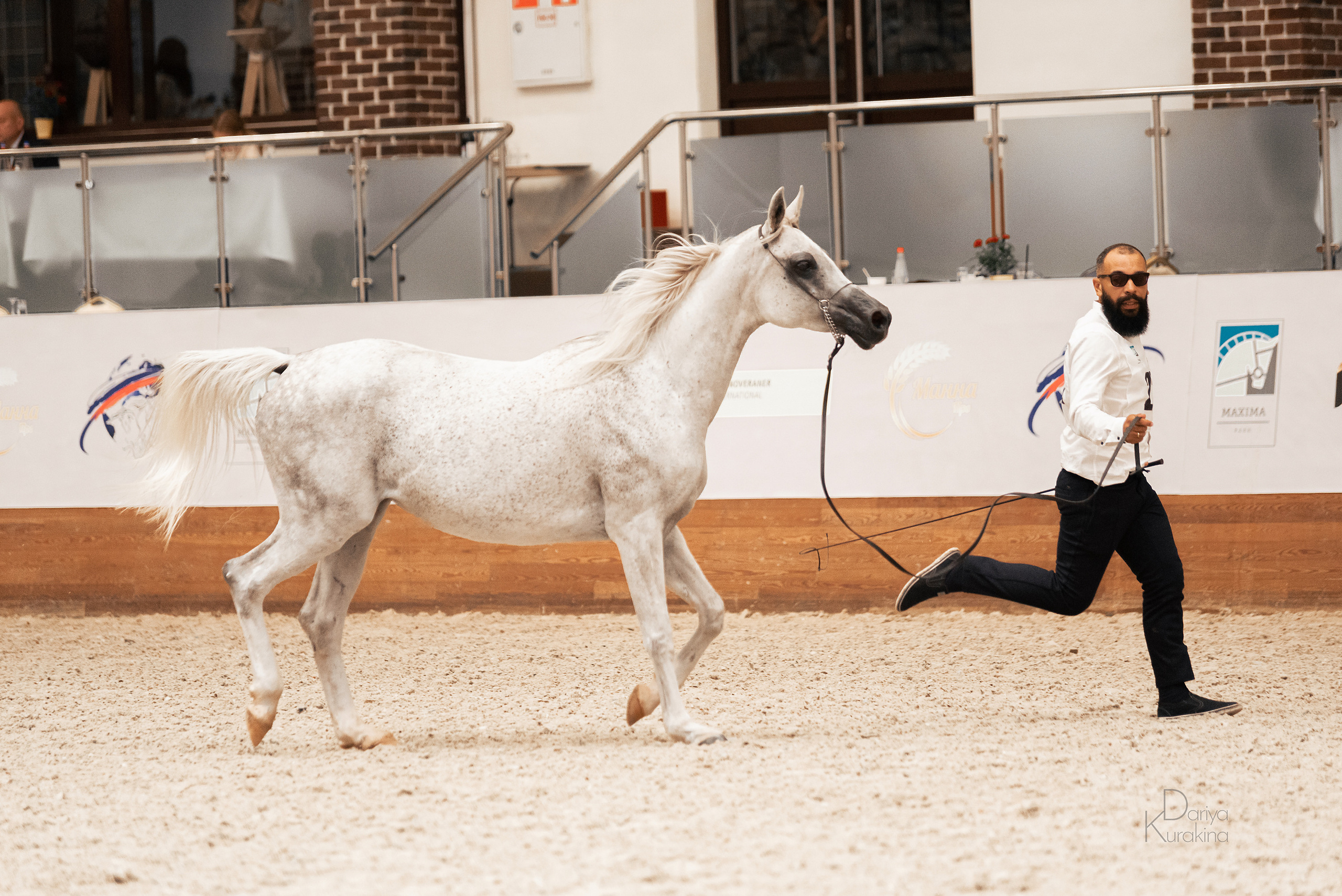 Конная Россия 2021. Конный фотограф Куракина Дарья • Фотосессии с лошадьми