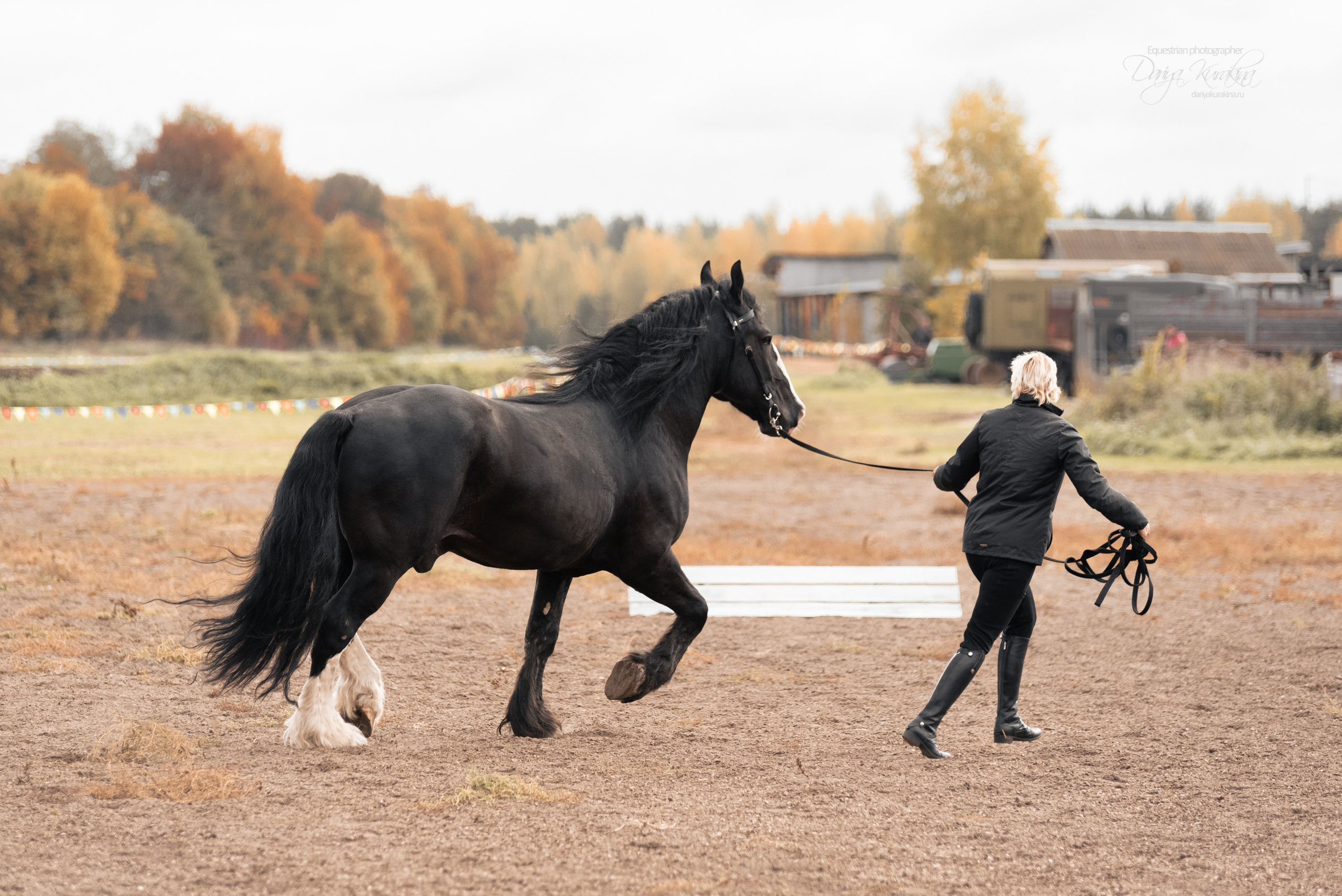Богдарня. Конный фотограф Куракина Дарья • Фотосессии с лошадьми