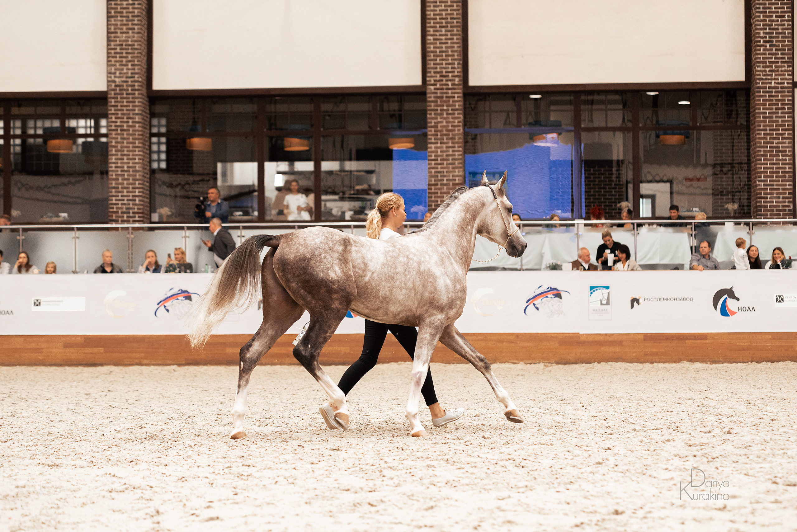 Конная Россия 2021. Конный фотограф Куракина Дарья • Фотосессии с лошадьми