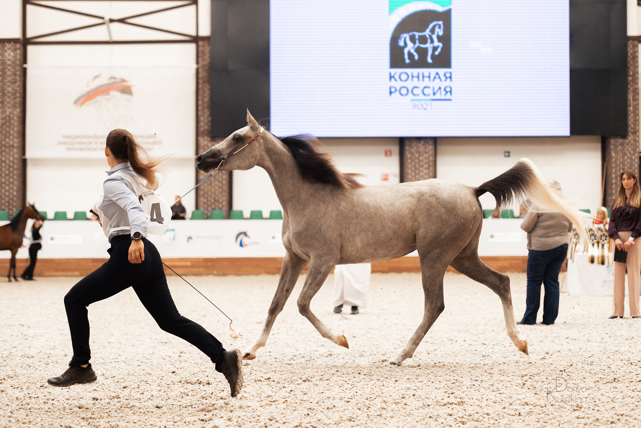 Конная Россия 2021. Конный фотограф Куракина Дарья • Фотосессии с лошадьми
