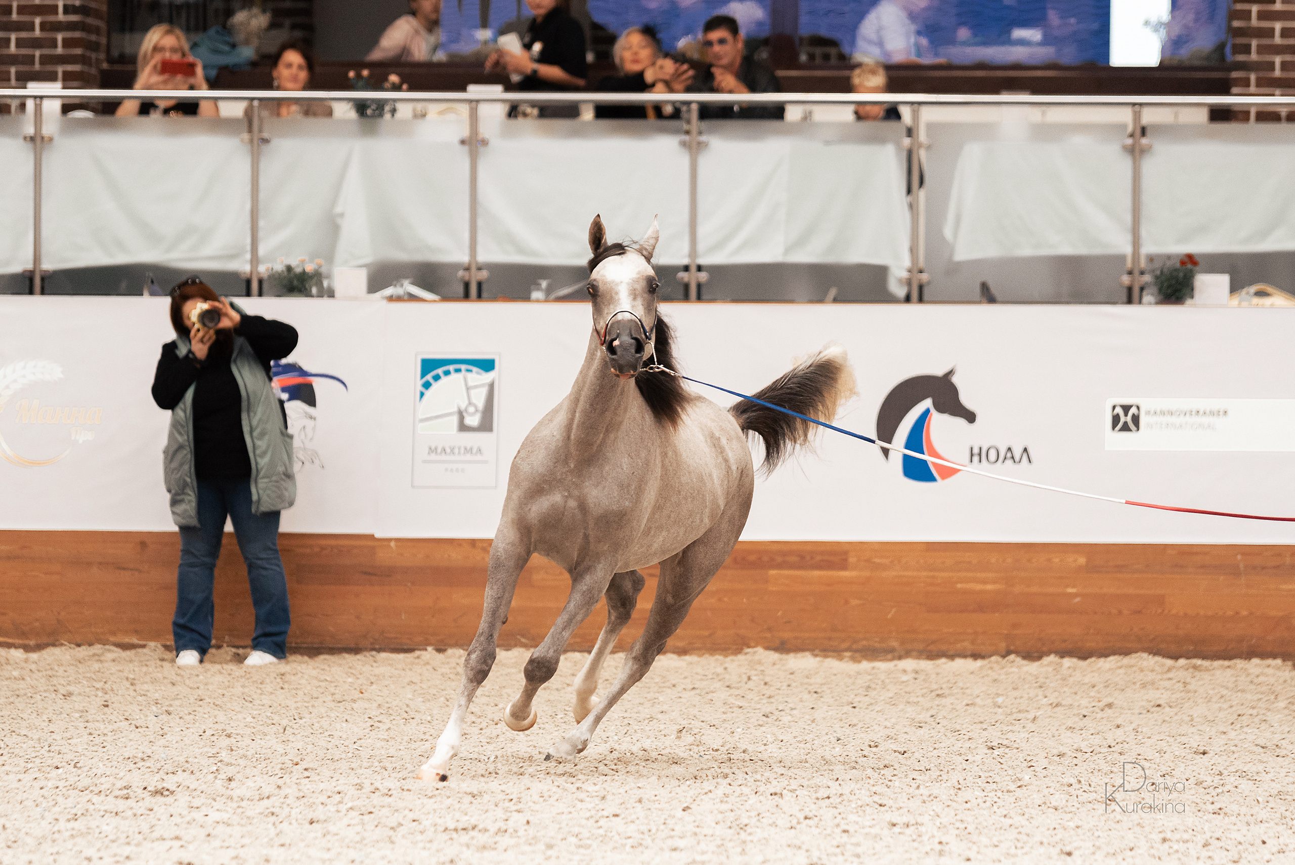 Конная Россия 2021. Конный фотограф Куракина Дарья • Фотосессии с лошадьми