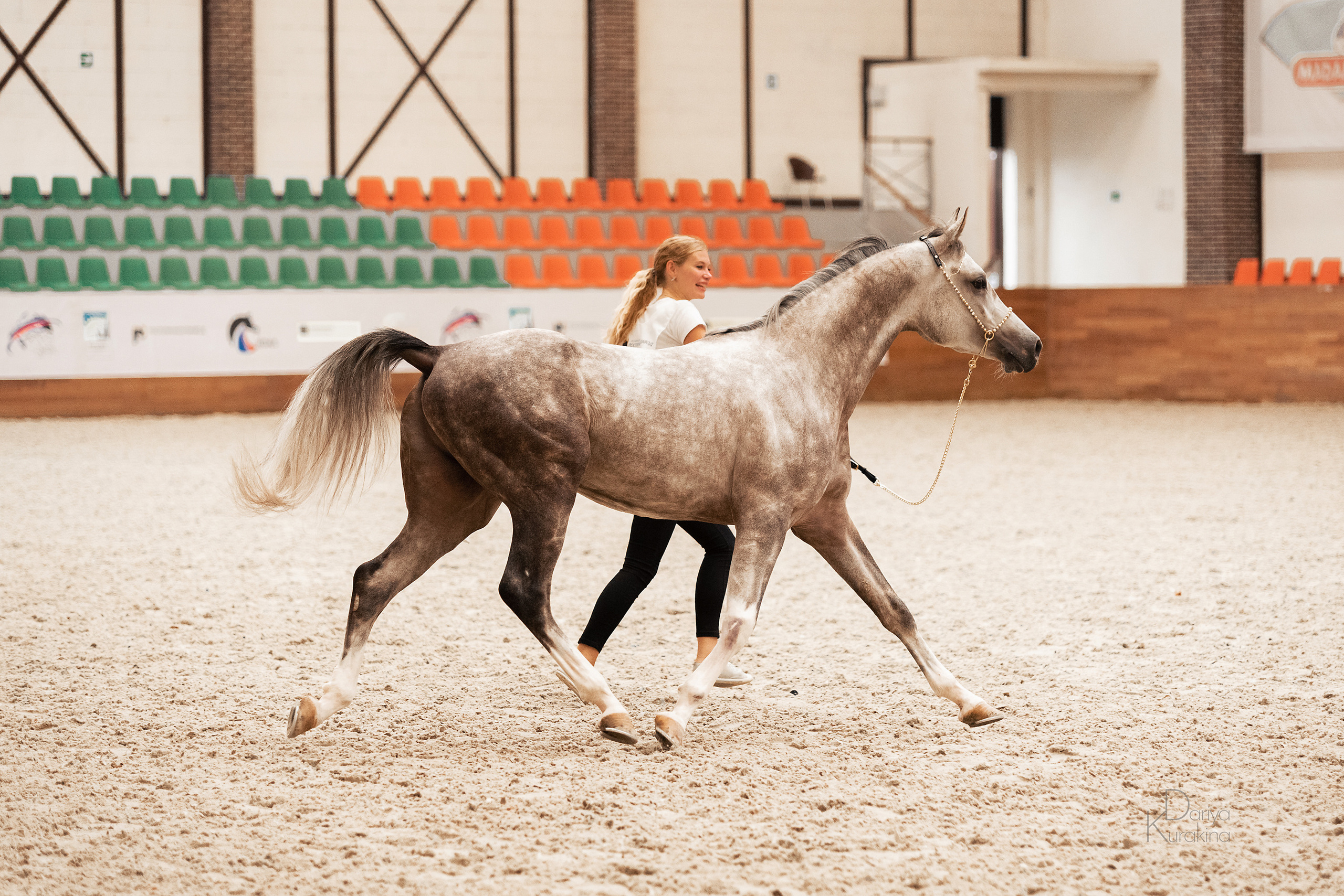 Конная Россия 2021. Конный фотограф Куракина Дарья • Фотосессии с лошадьми