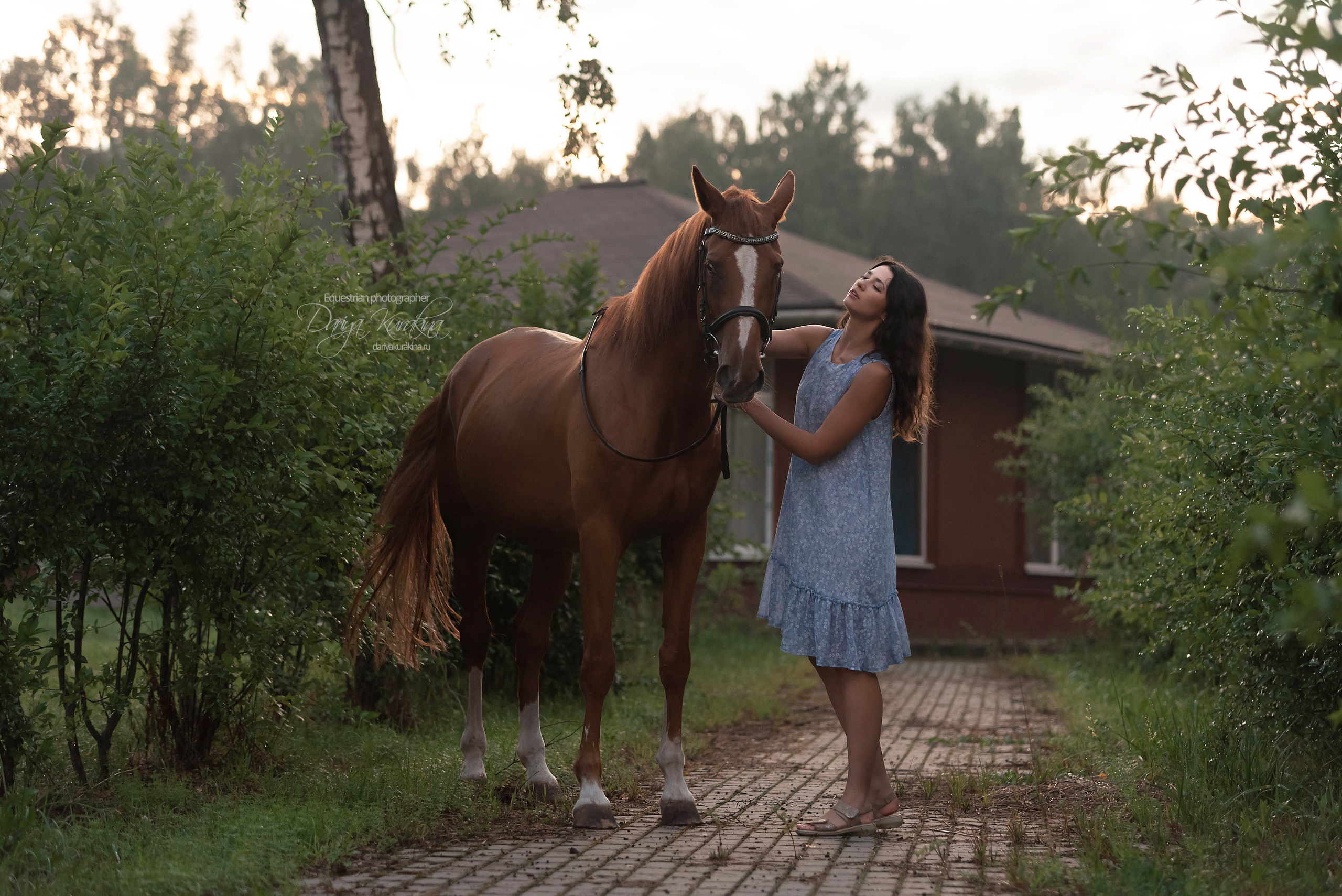 Яна и Леди. Конный фотограф Куракина Дарья • Фотосессии с лошадьми