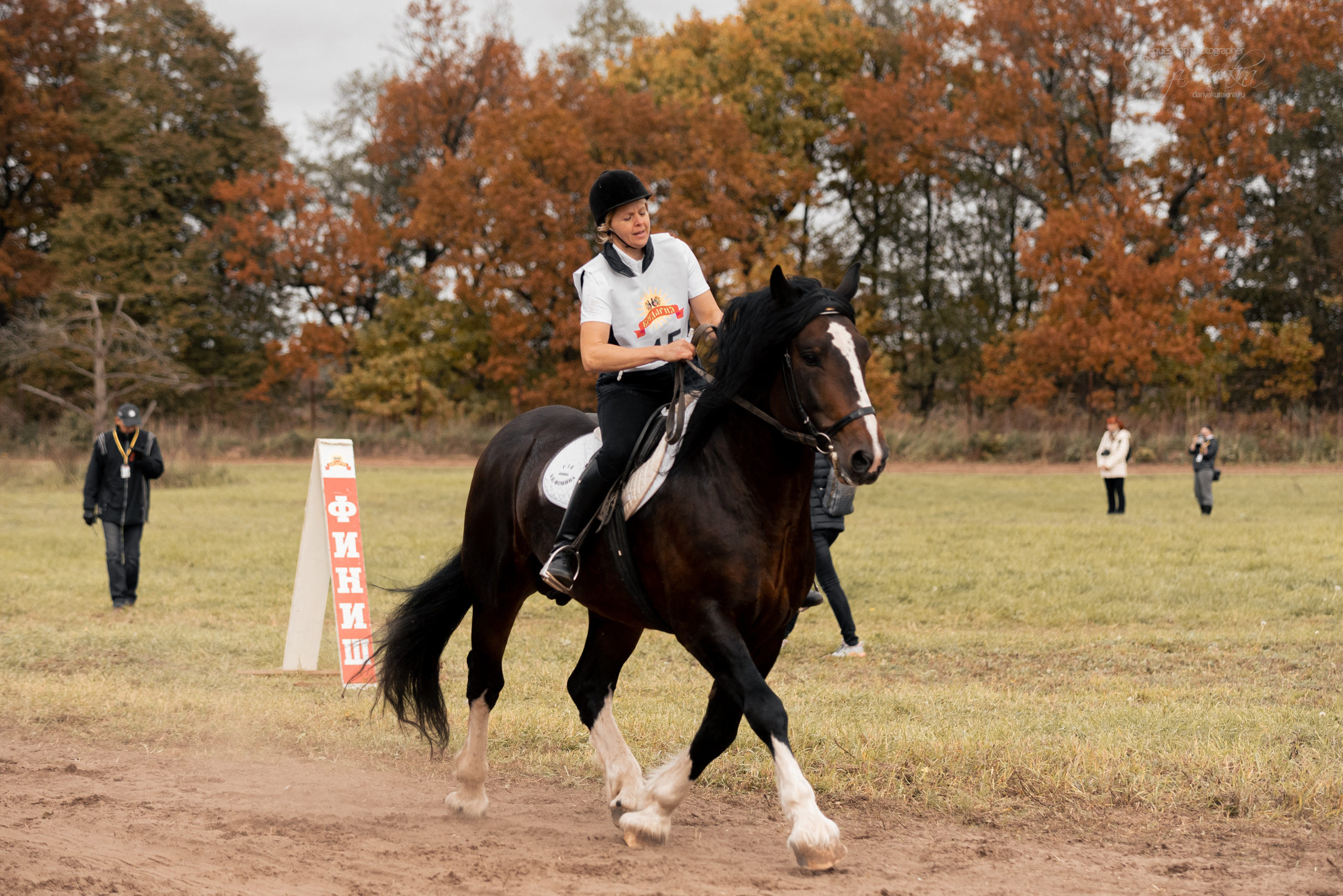 Богдарня. Конный фотограф Куракина Дарья • Фотосессии с лошадьми