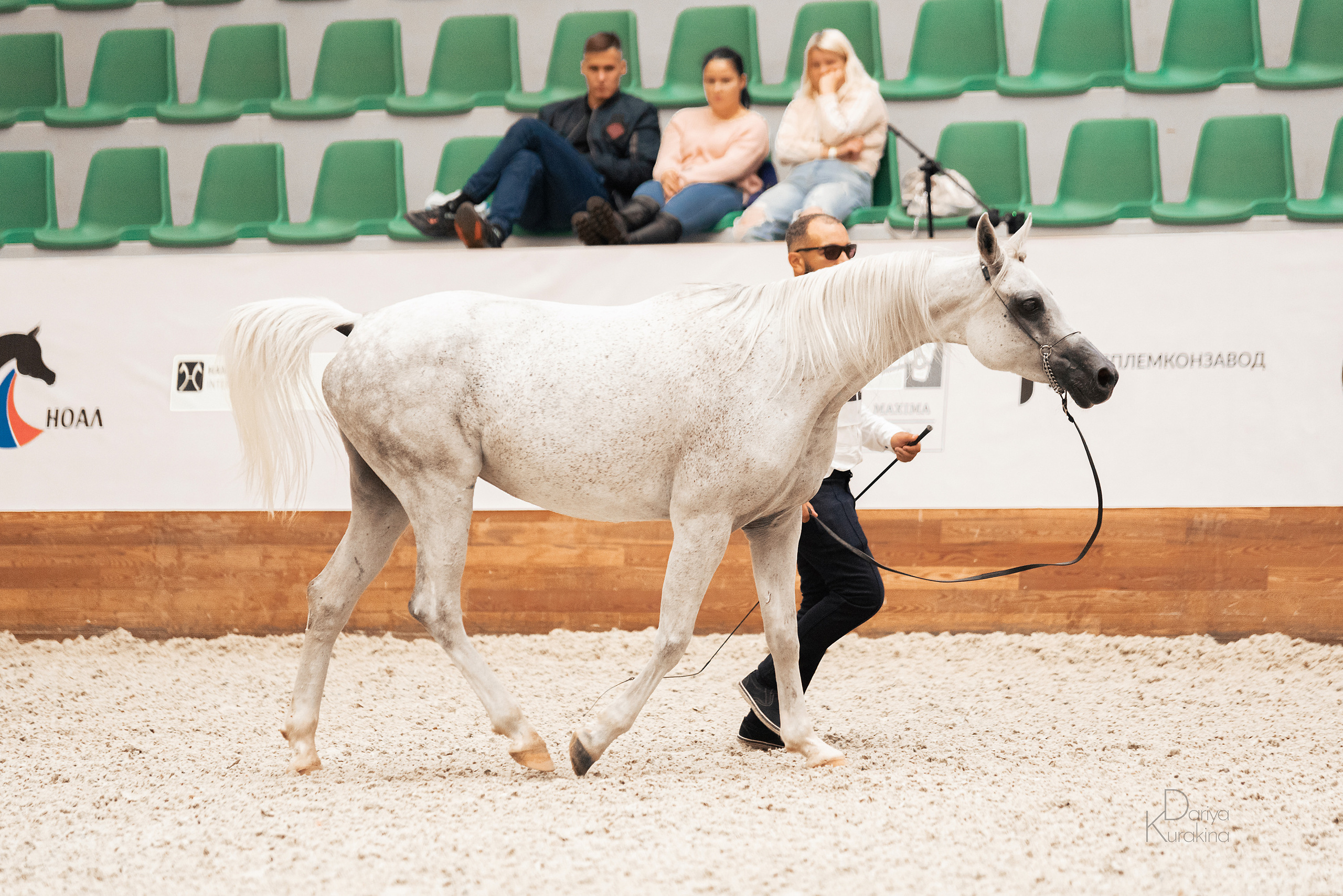 Конная Россия 2021. Конный фотограф Куракина Дарья • Фотосессии с лошадьми