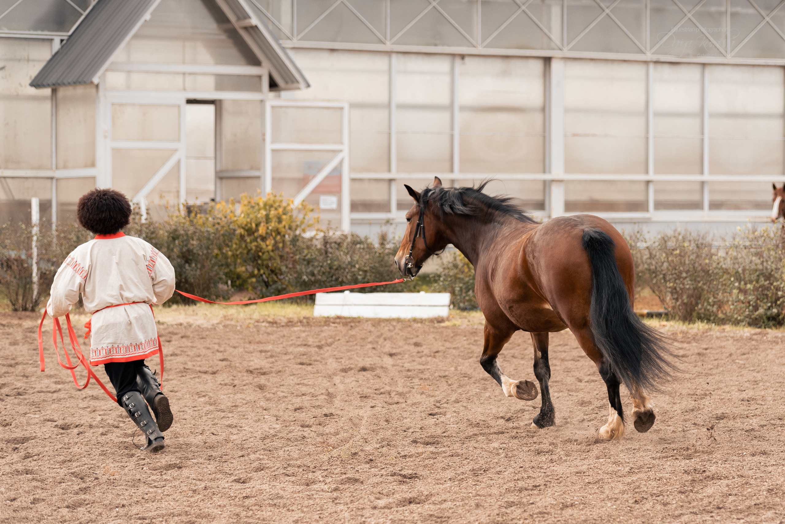 Богдарня. Конный фотограф Куракина Дарья • Фотосессии с лошадьми