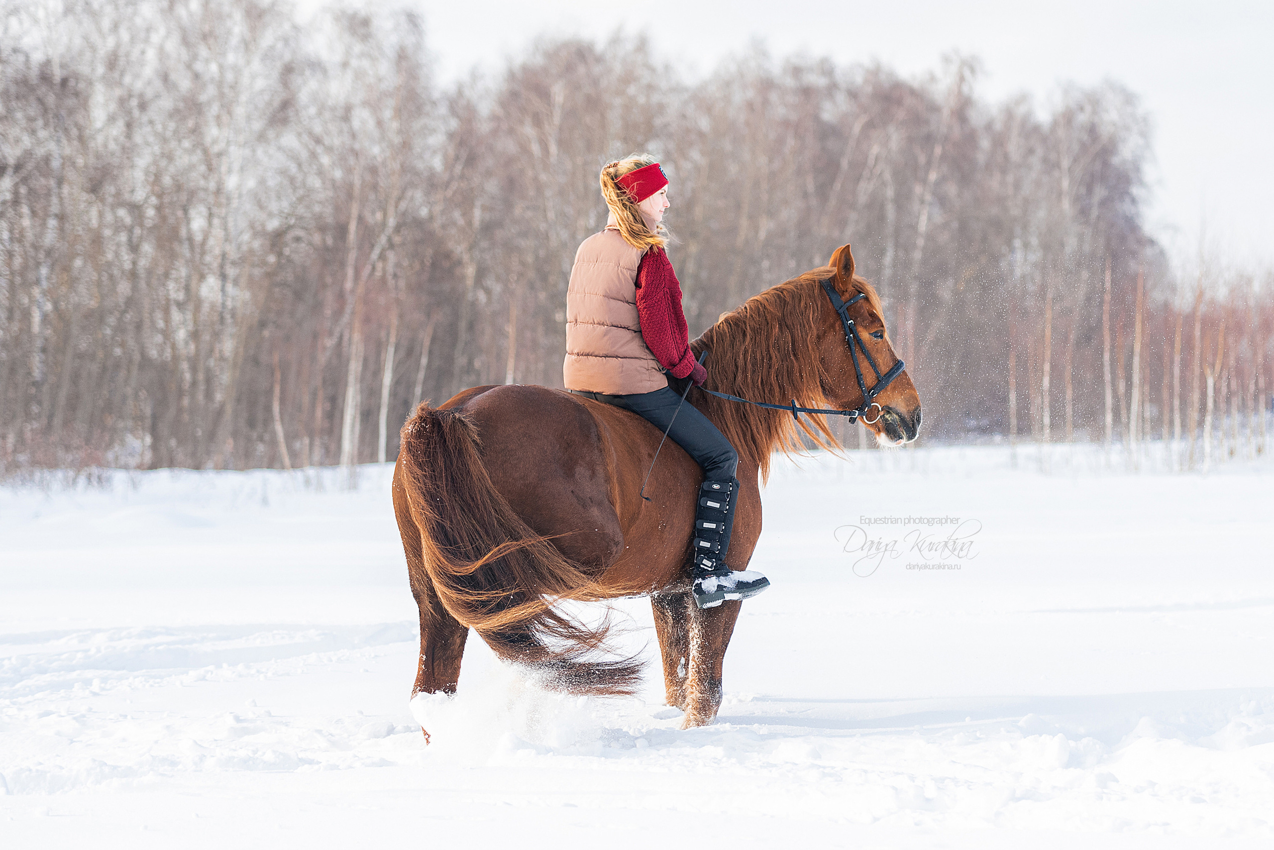 Лиза и Ригард. Конный фотограф Куракина Дарья • Фотосессии с лошадьми