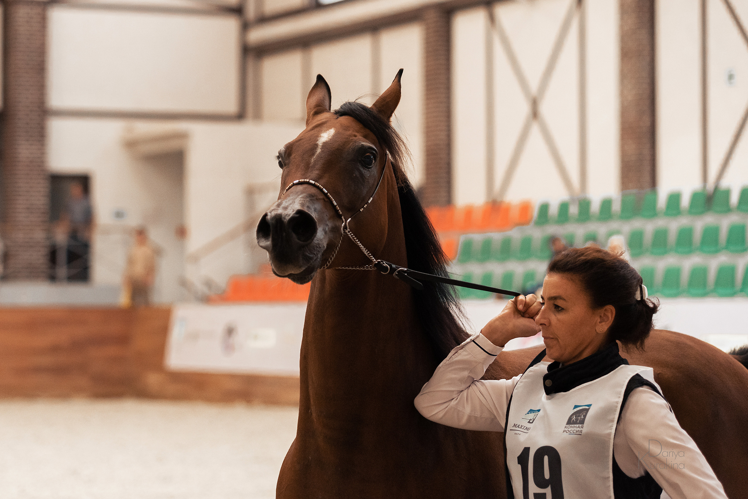 Конная Россия 2021. Конный фотограф Куракина Дарья • Фотосессии с лошадьми