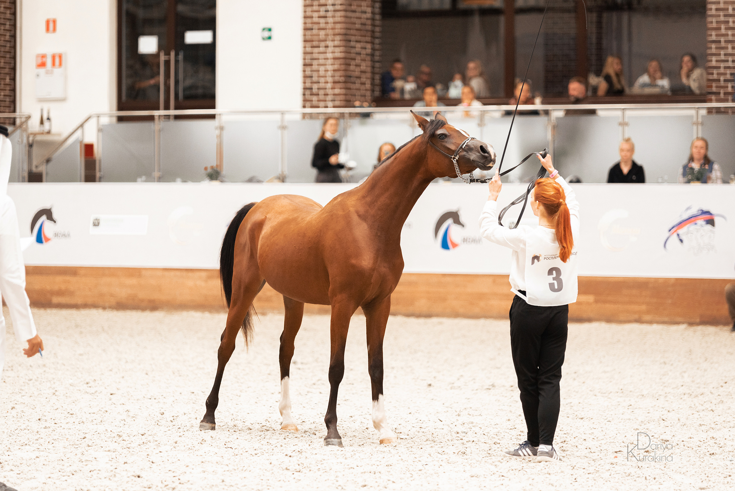 Конная Россия 2021. Конный фотограф Куракина Дарья • Фотосессии с лошадьми