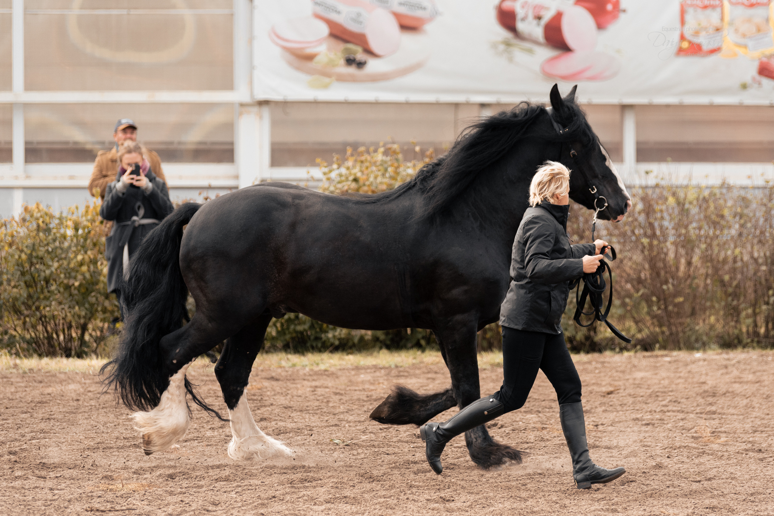 Богдарня. Конный фотограф Куракина Дарья • Фотосессии с лошадьми