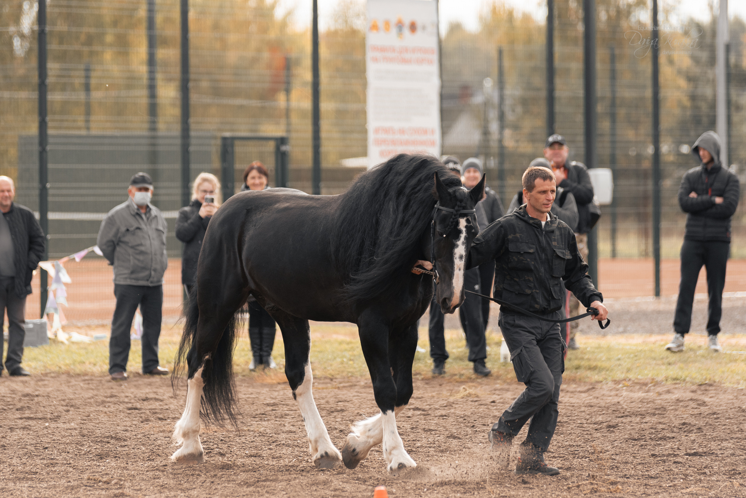 Богдарня. Конный фотограф Куракина Дарья • Фотосессии с лошадьми
