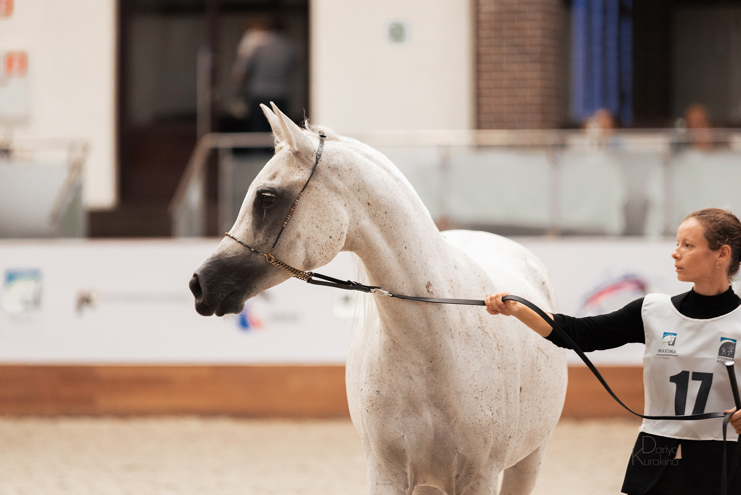 Конная Россия 2021. Конный фотограф Куракина Дарья • Фотосессии с лошадьми