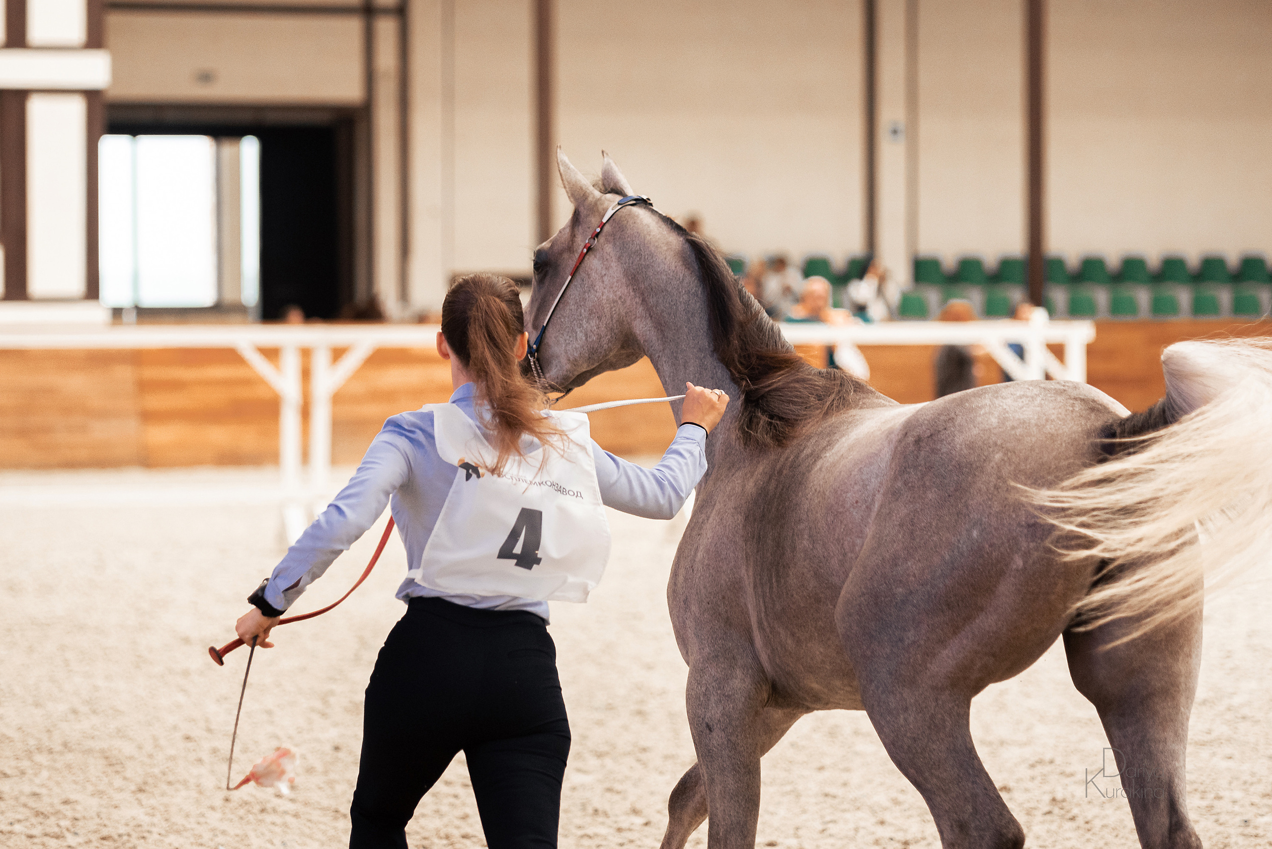 Конная Россия 2021. Конный фотограф Куракина Дарья • Фотосессии с лошадьми