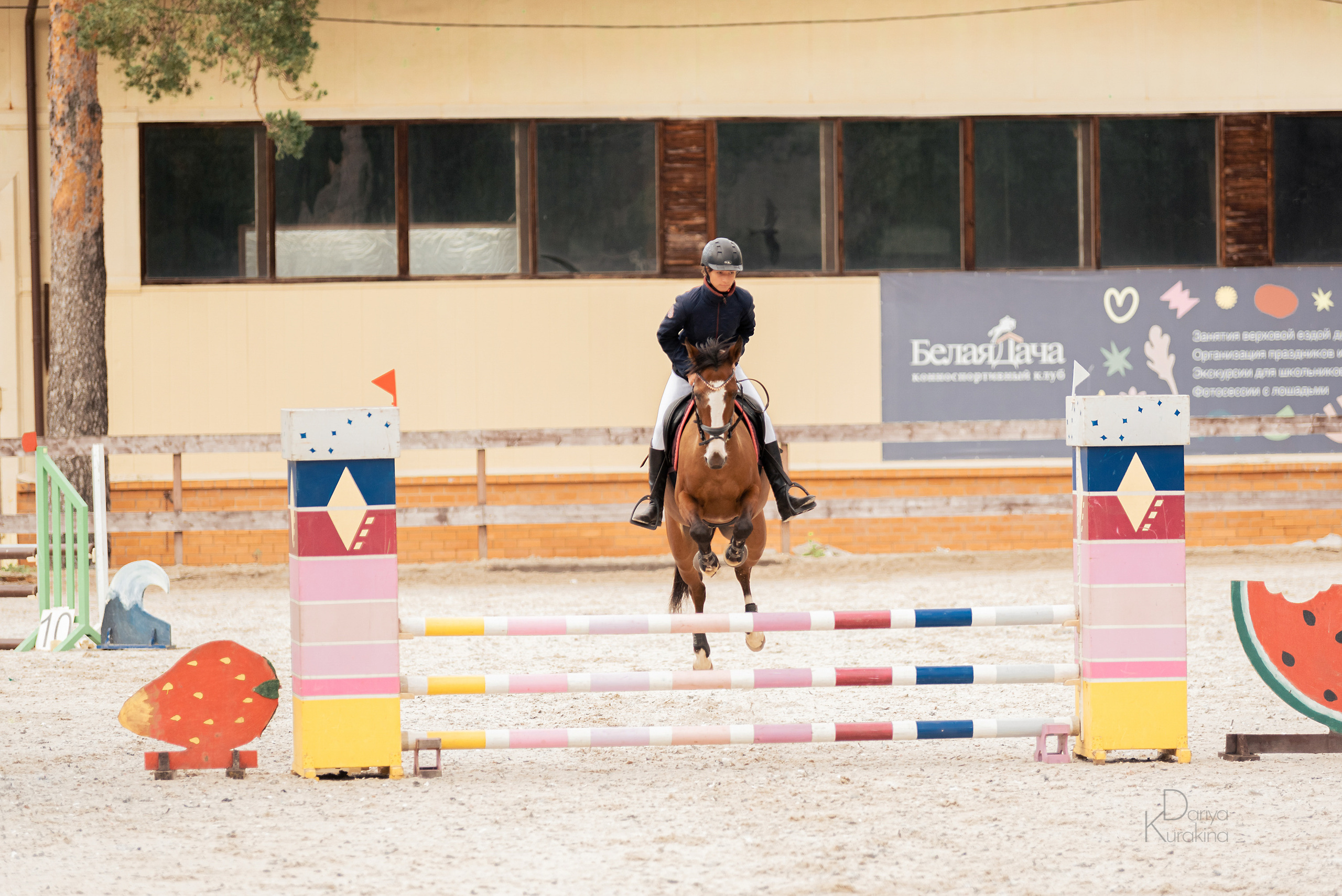КСК Белая Дача, конкур. Конный фотограф Куракина Дарья • Фотосессии с лошадьми