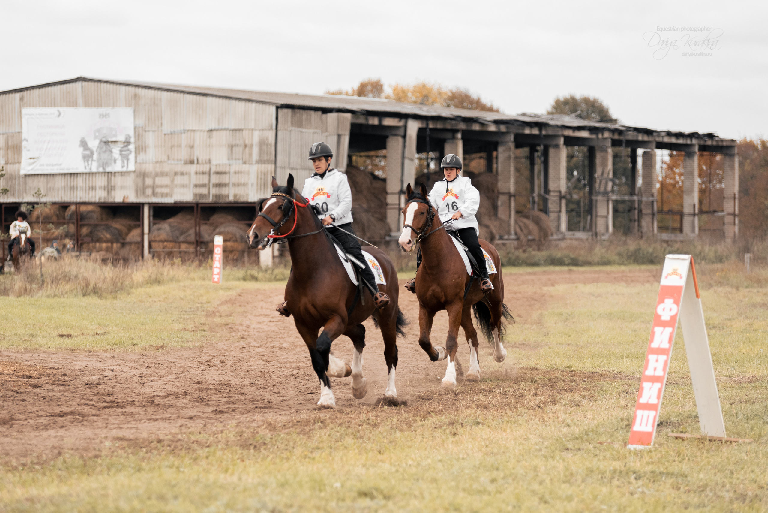 Богдарня. Конный фотограф Куракина Дарья • Фотосессии с лошадьми