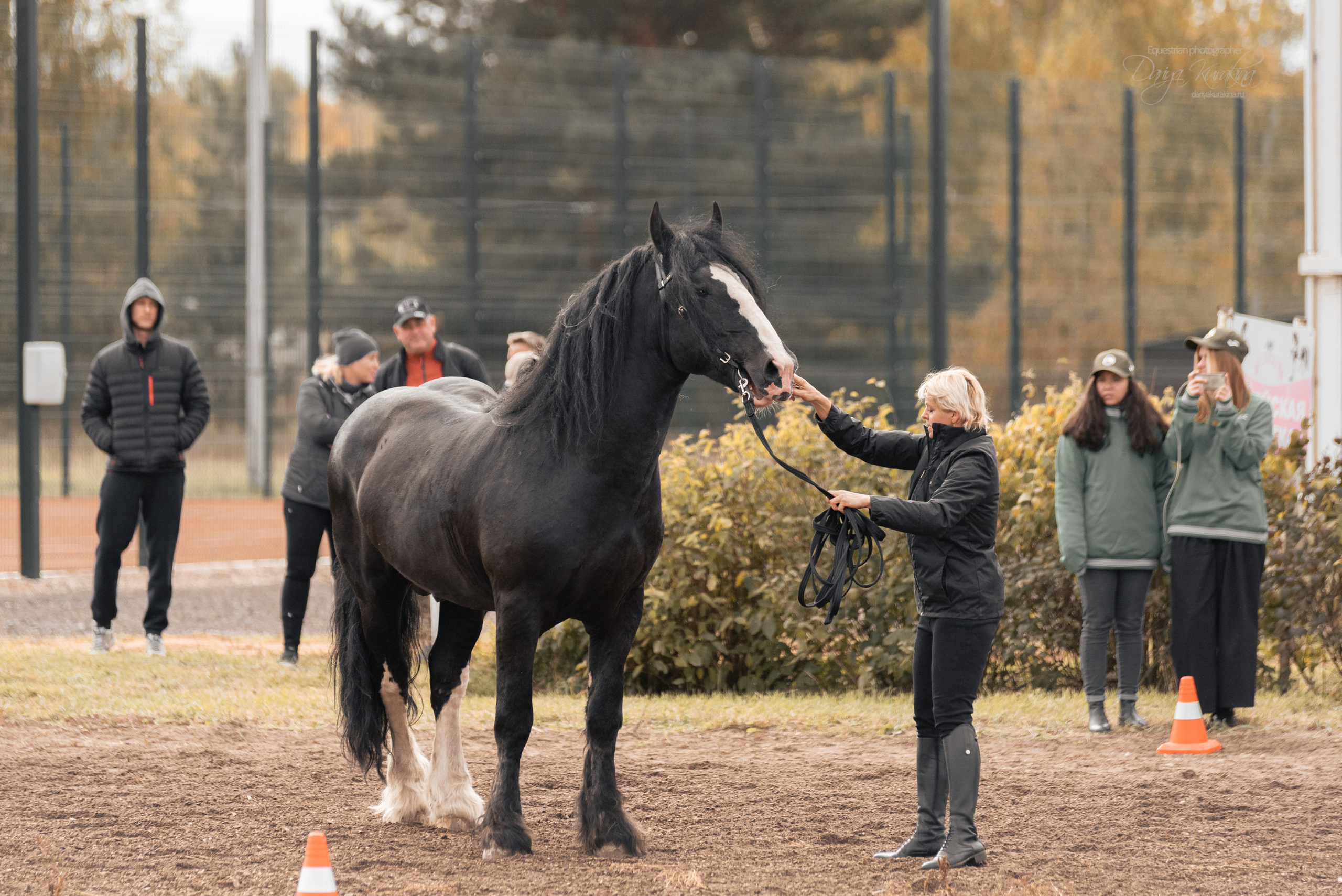 Богдарня. Конный фотограф Куракина Дарья • Фотосессии с лошадьми
