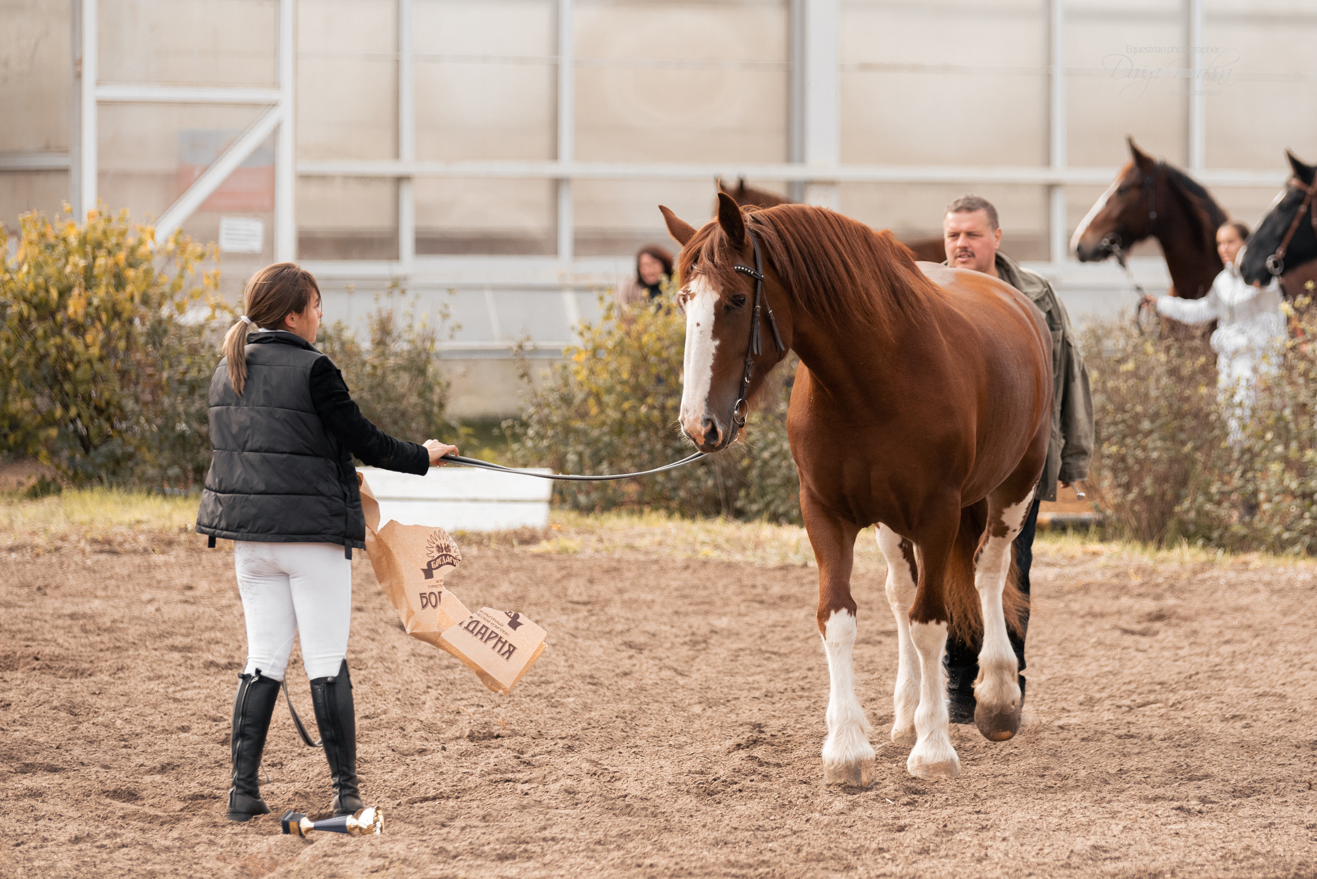 Богдарня. Конный фотограф Куракина Дарья • Фотосессии с лошадьми