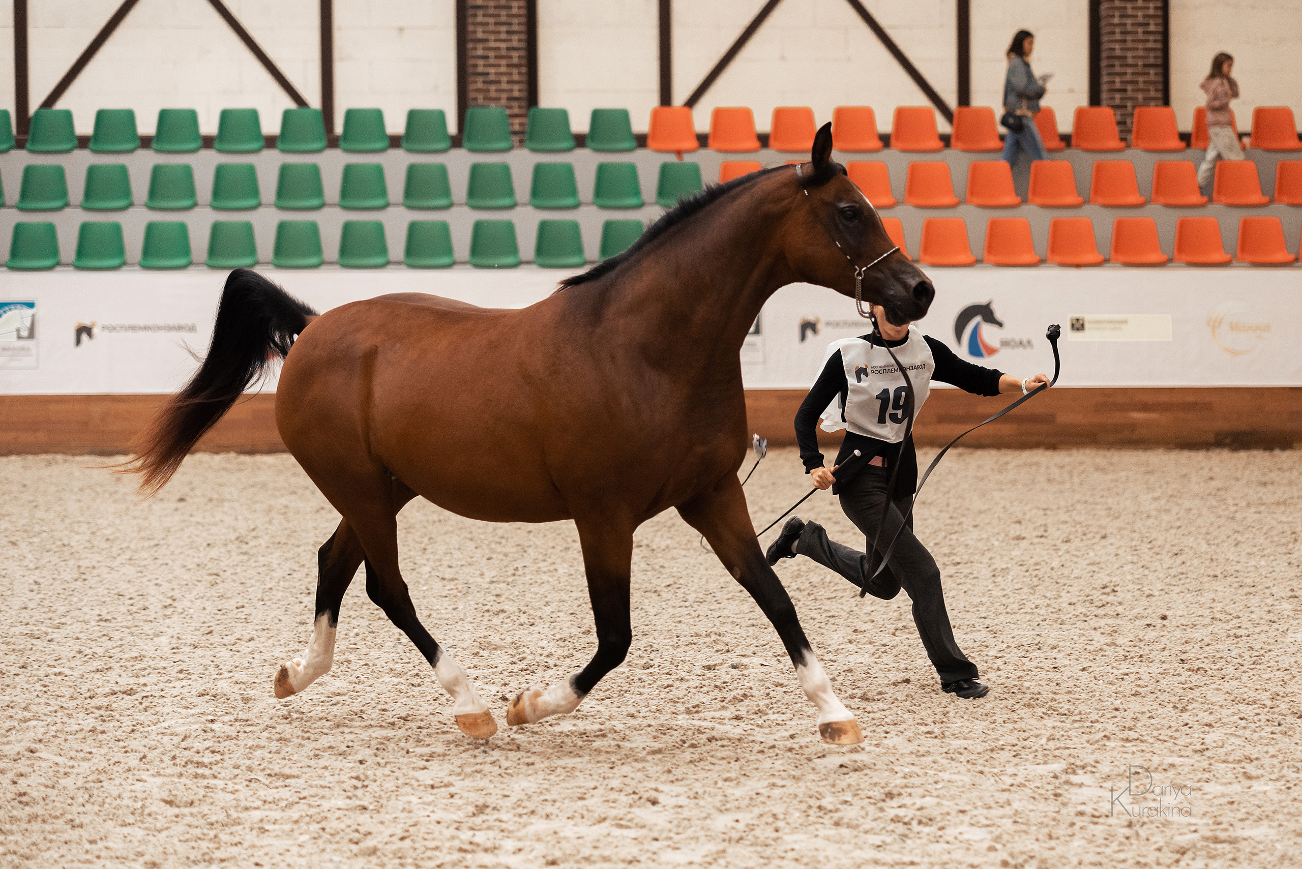 Конная Россия 2021. Конный фотограф Куракина Дарья • Фотосессии с лошадьми
