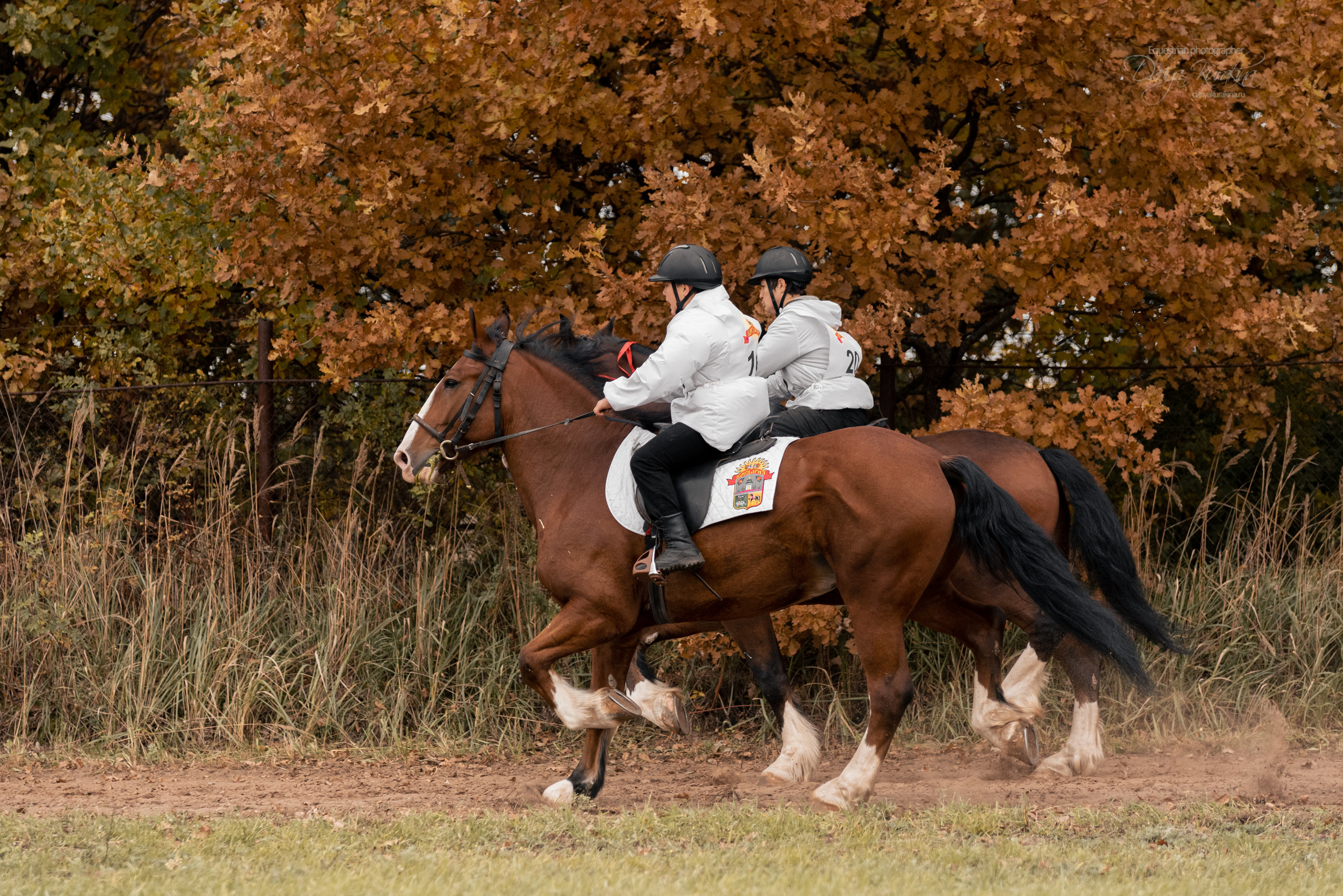 Богдарня. Конный фотограф Куракина Дарья • Фотосессии с лошадьми