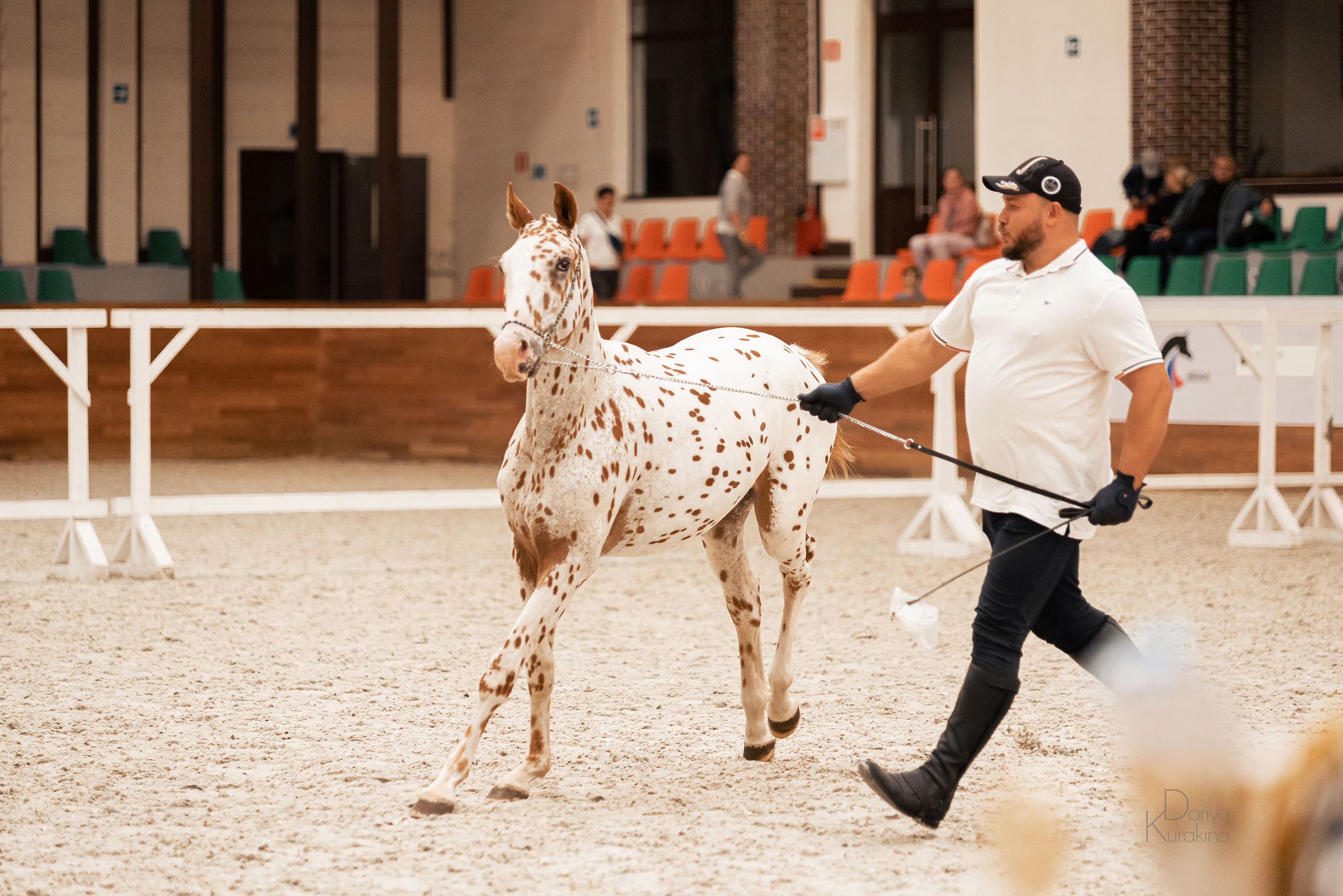 Конная Россия 2021. Конный фотограф Куракина Дарья • Фотосессии с лошадьми