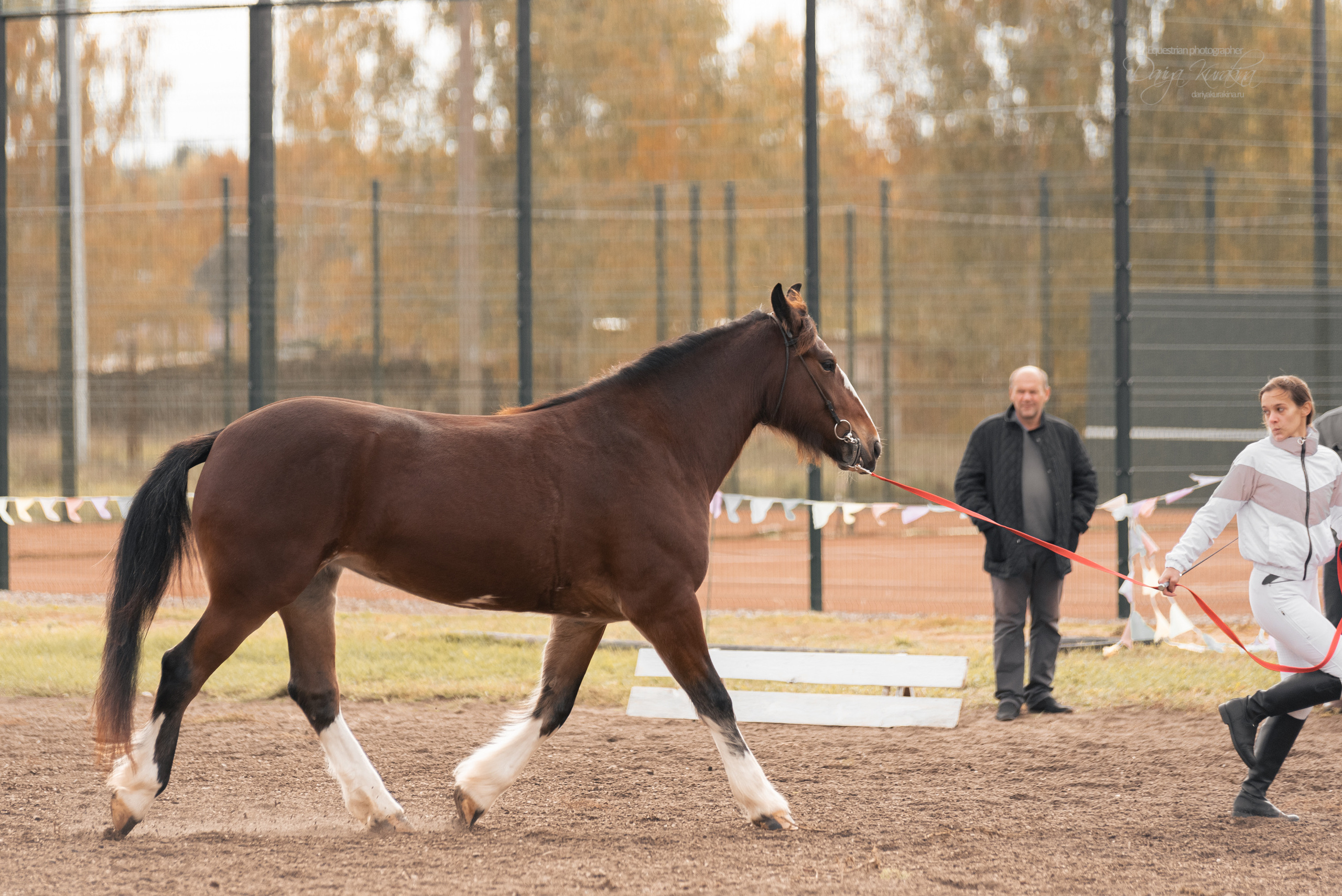 Богдарня. Конный фотограф Куракина Дарья • Фотосессии с лошадьми