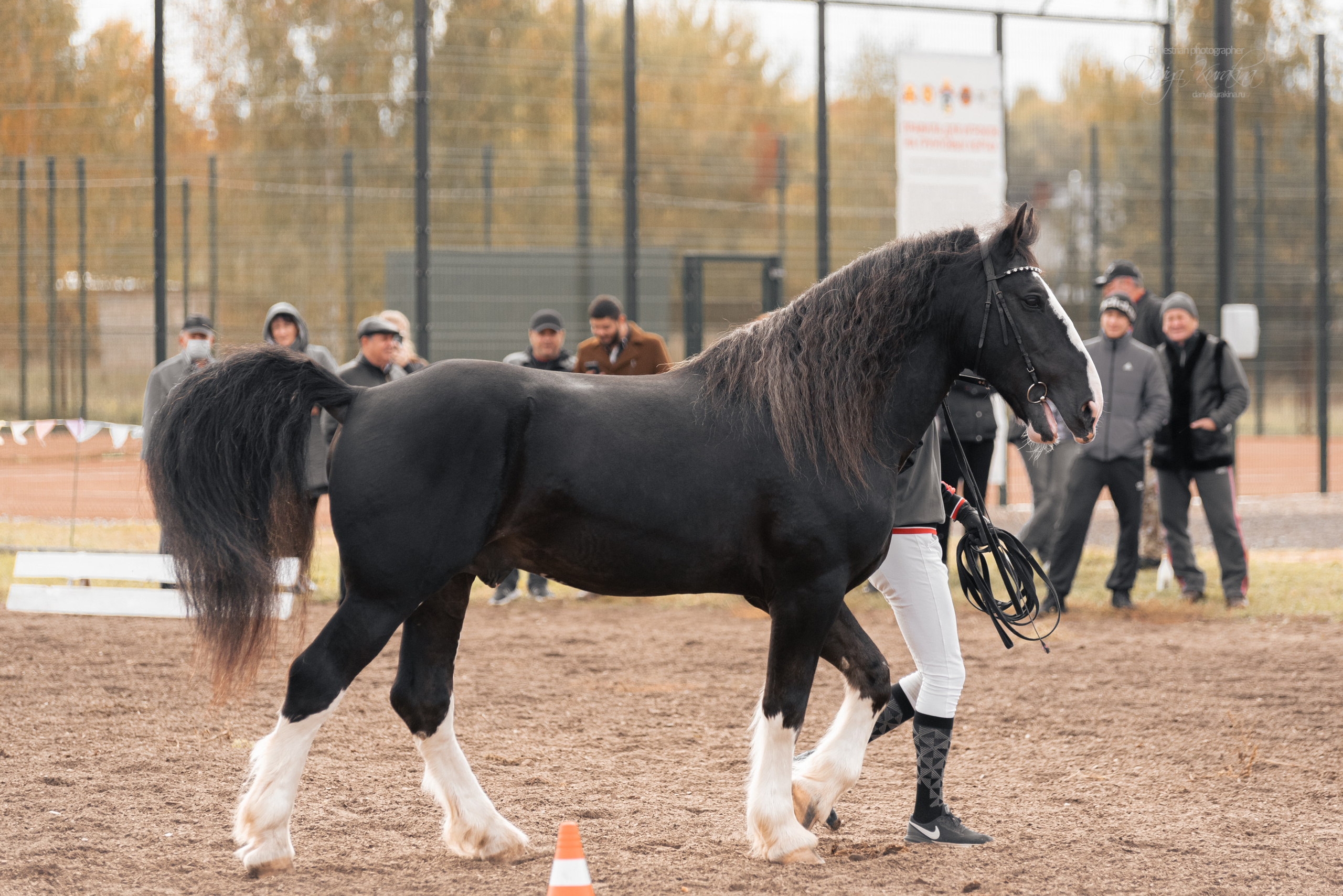 Богдарня. Конный фотограф Куракина Дарья • Фотосессии с лошадьми
