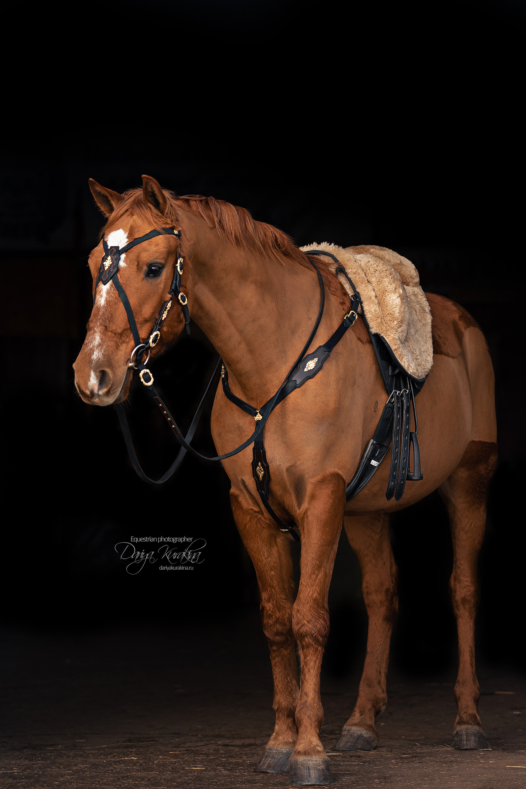 Таня и Барабан. Конный фотограф Куракина Дарья • Фотосессии с лошадьми