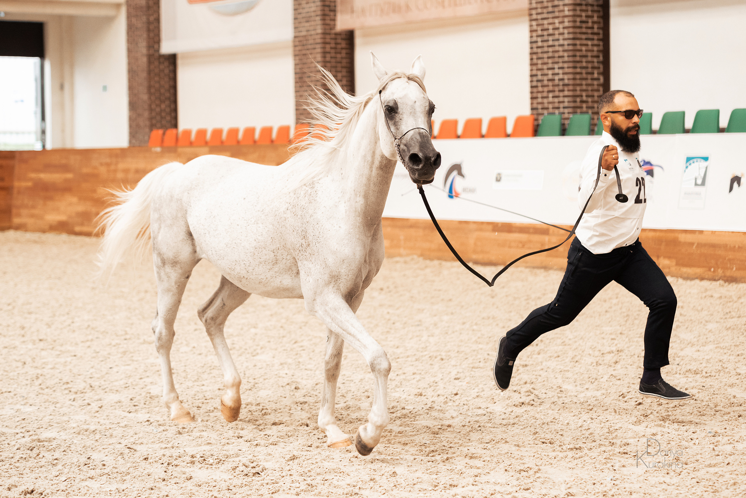 Конная Россия 2021. Конный фотограф Куракина Дарья • Фотосессии с лошадьми