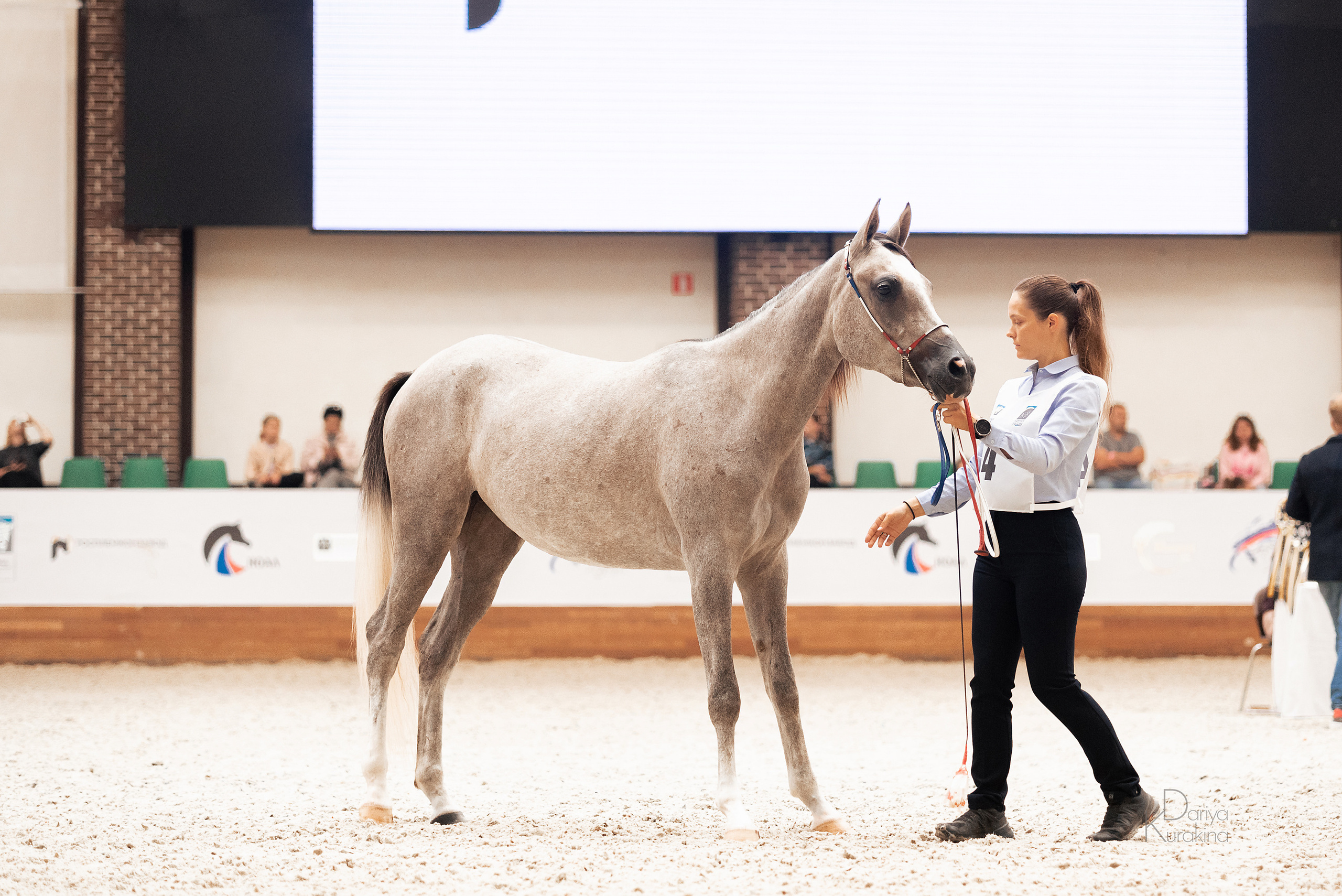 Конная Россия 2021. Конный фотограф Куракина Дарья • Фотосессии с лошадьми