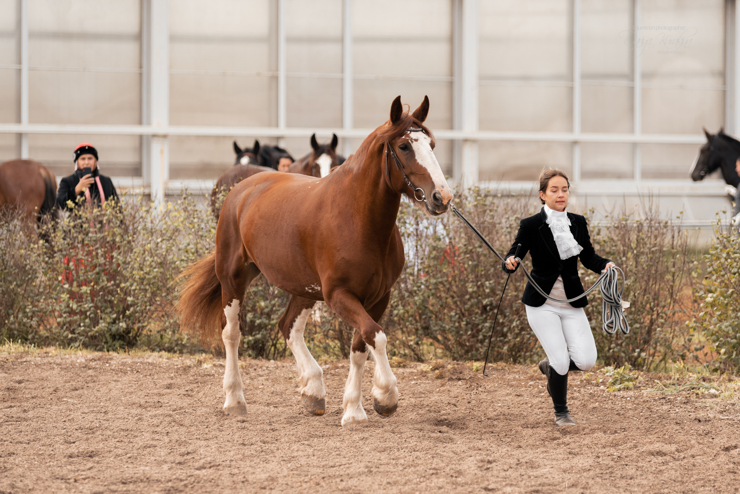 Богдарня. Конный фотограф Куракина Дарья • Фотосессии с лошадьми