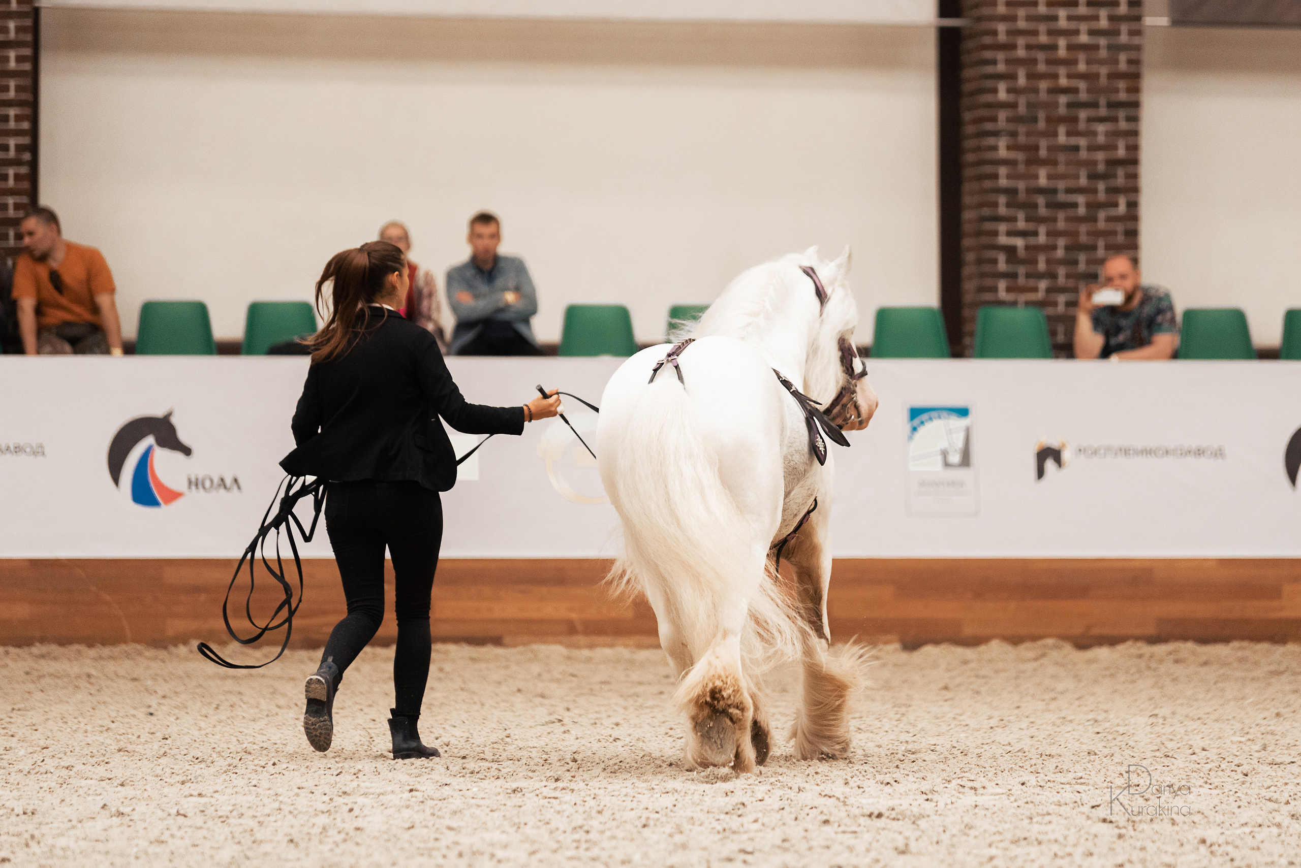 Конная Россия 2021. Конный фотограф Куракина Дарья • Фотосессии с лошадьми