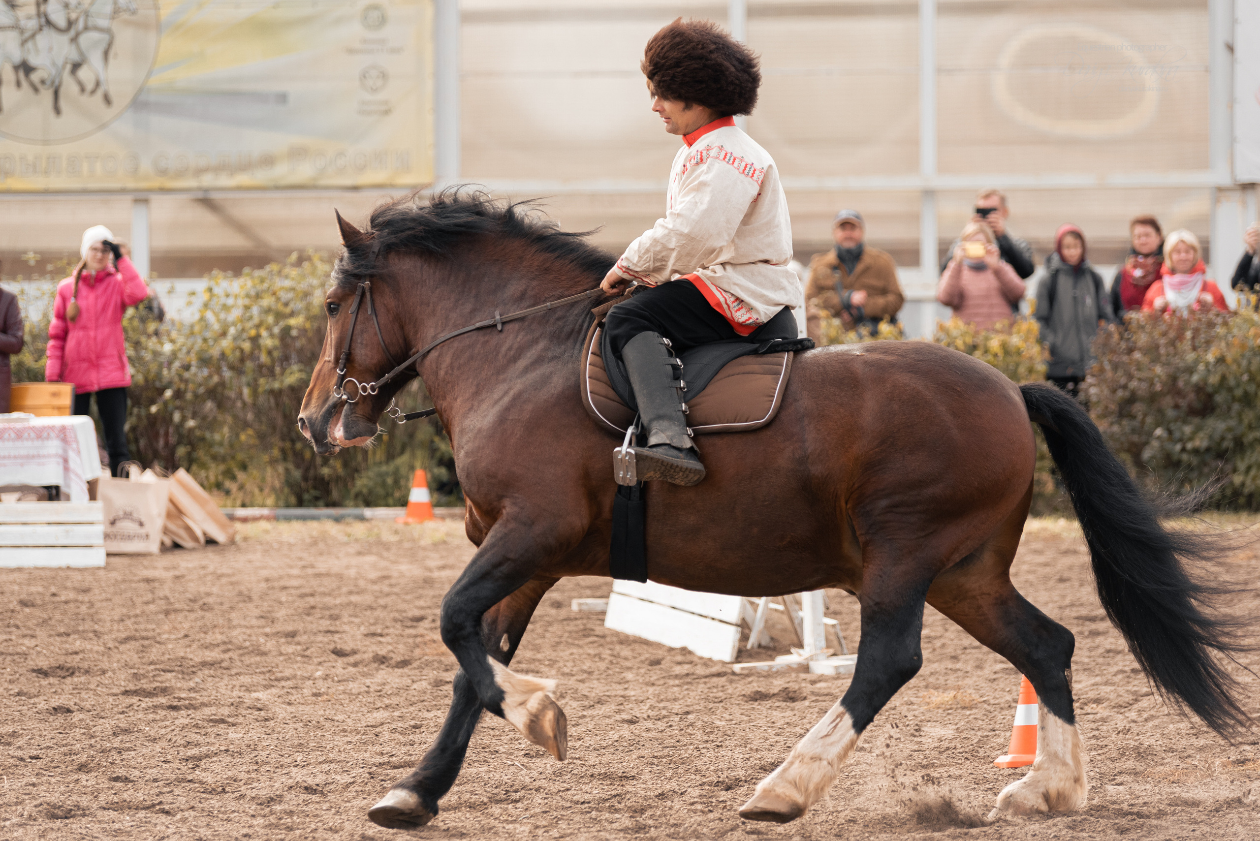 Богдарня. Конный фотограф Куракина Дарья • Фотосессии с лошадьми