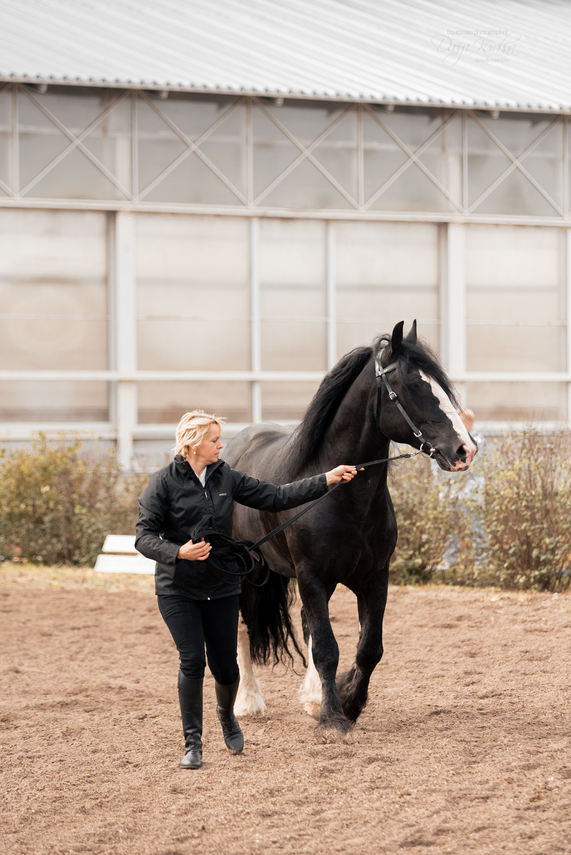 Богдарня. Конный фотограф Куракина Дарья • Фотосессии с лошадьми