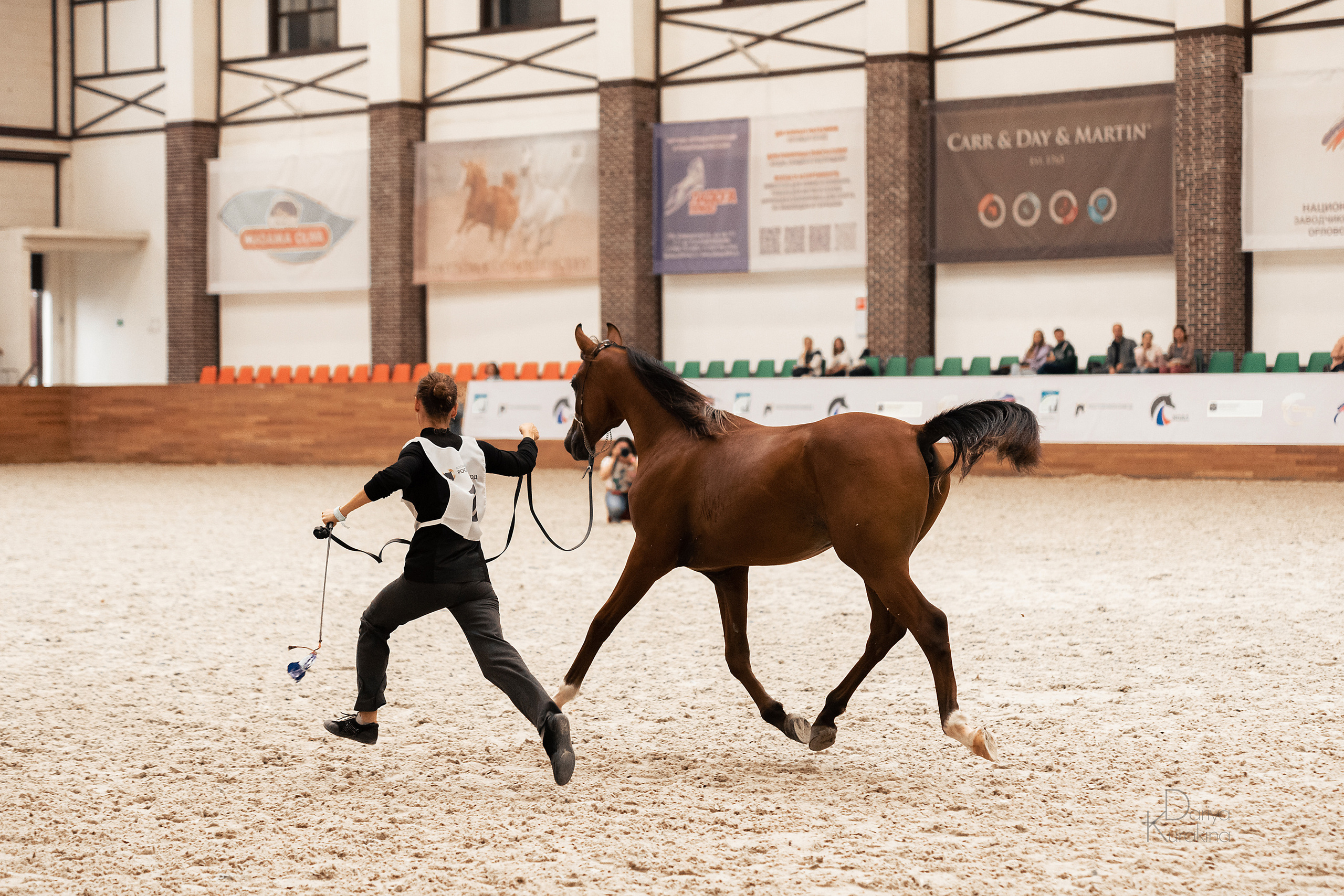 Конная Россия 2021. Конный фотограф Куракина Дарья • Фотосессии с лошадьми